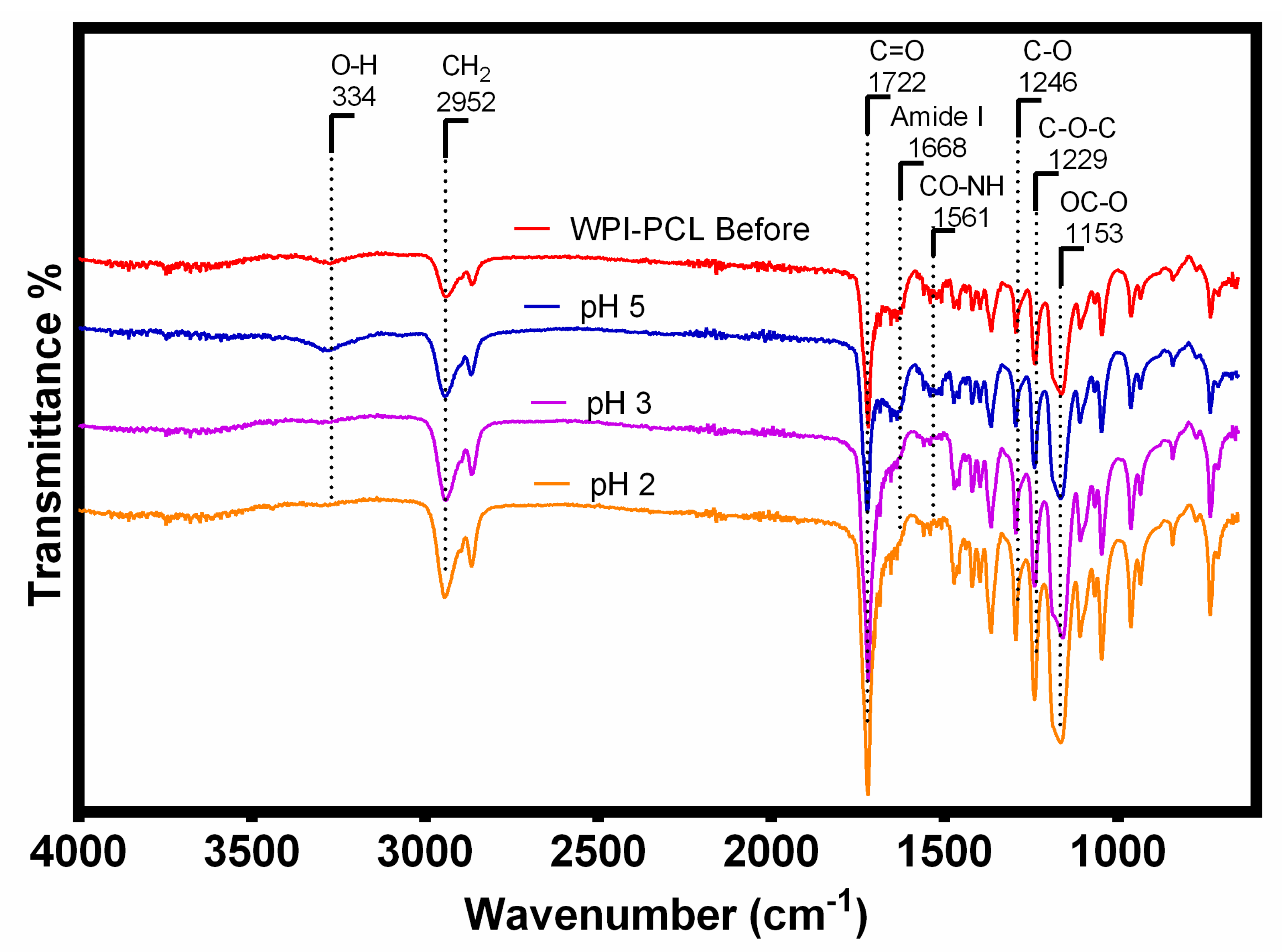 Nanomaterials 12 02744 g010