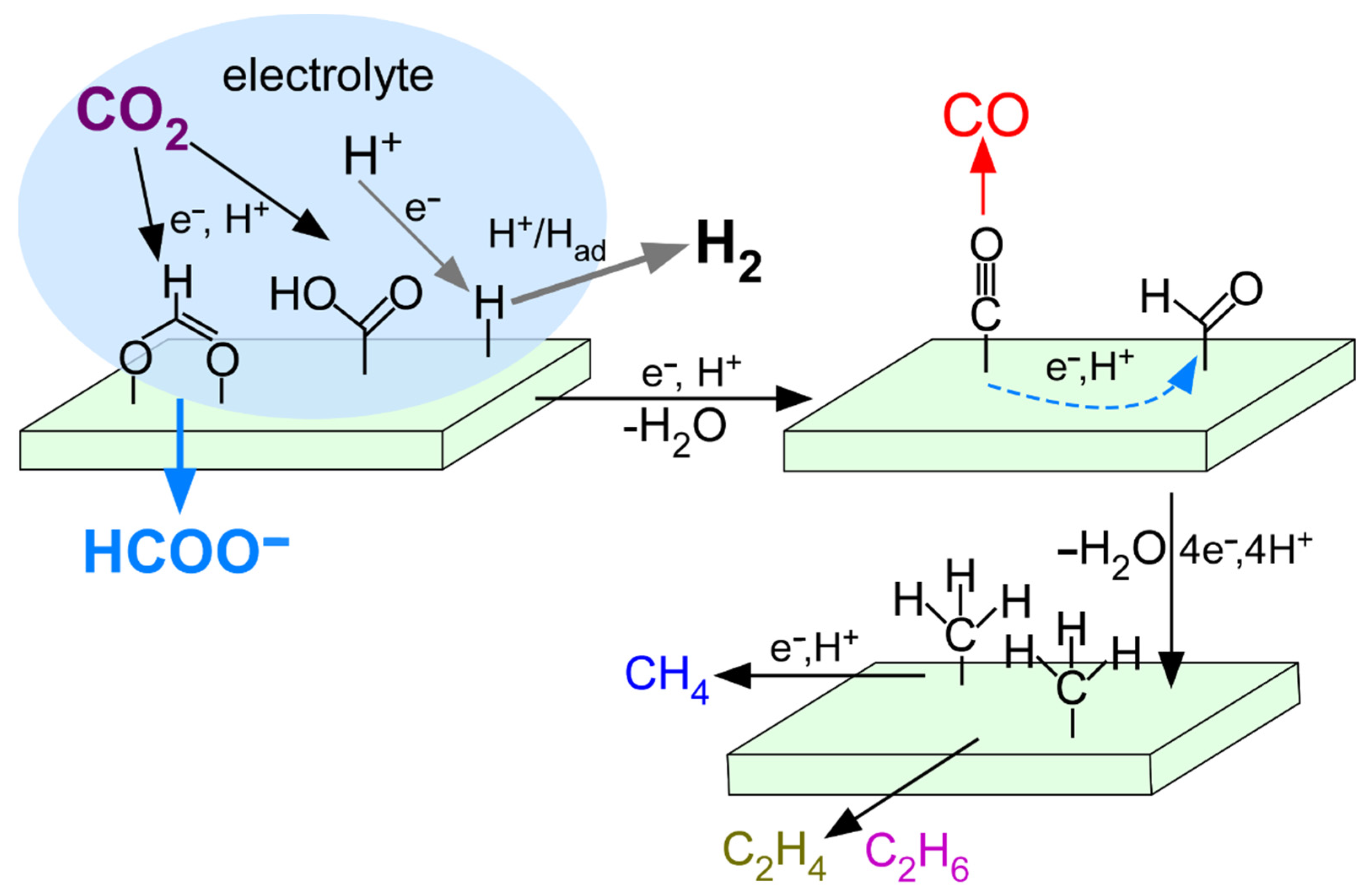 Nanomaterials 12 02758 g008