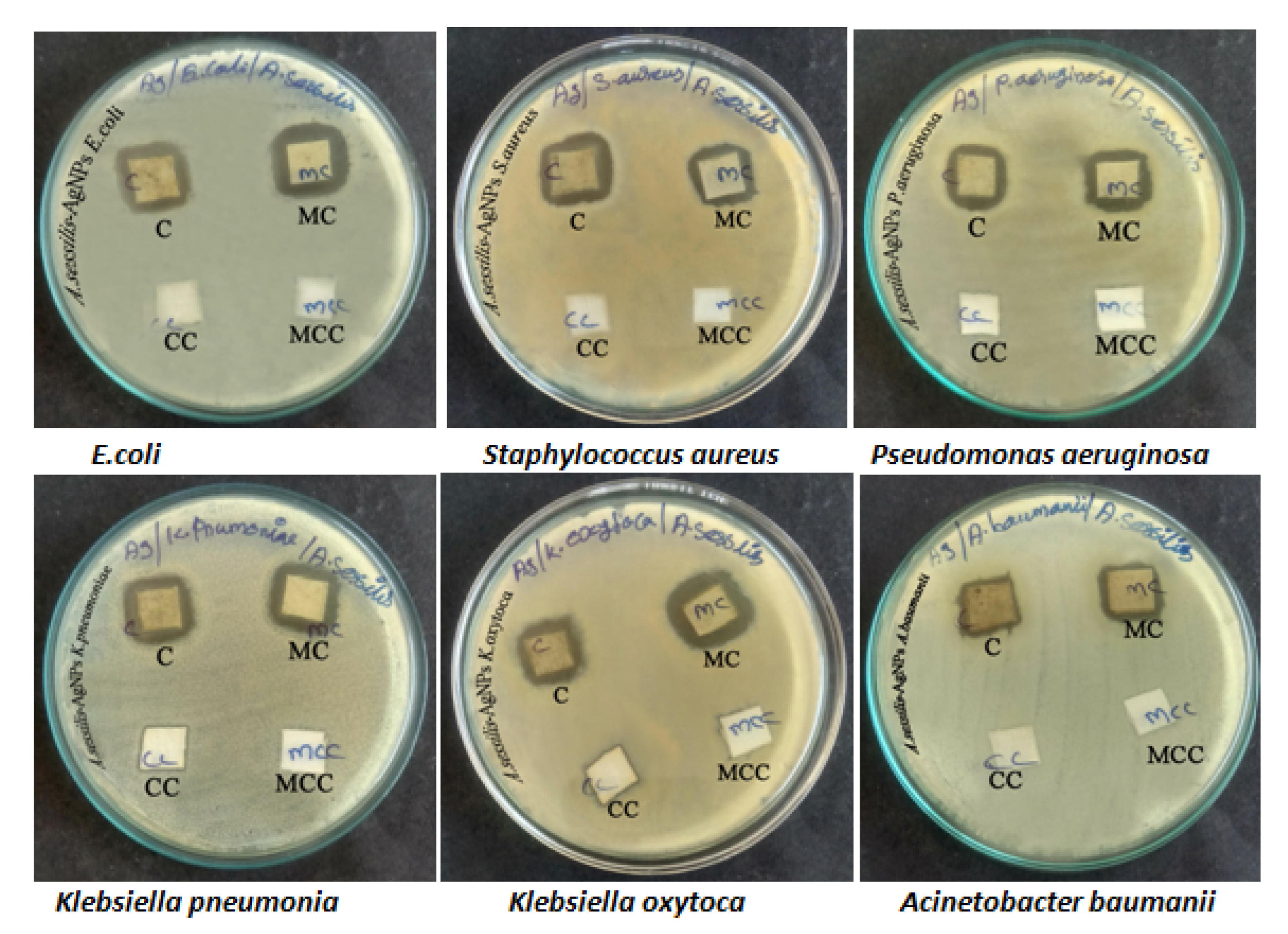 Nanomaterials 12 02759 g002 Nanomaterials 12 02759 g002