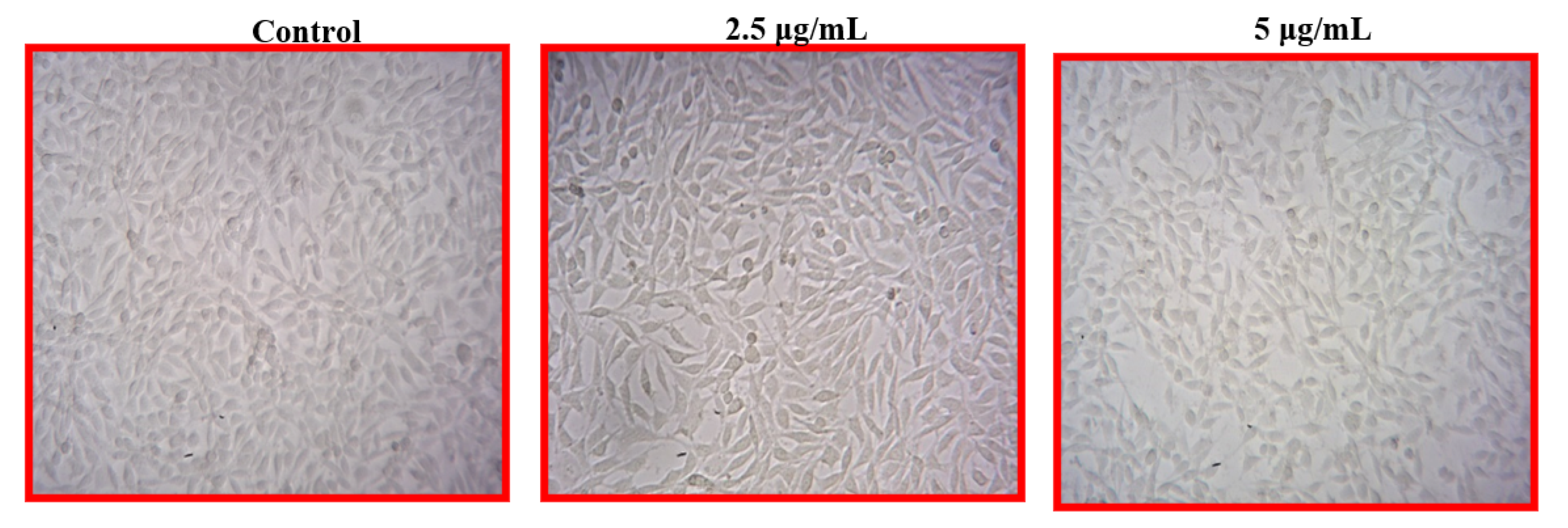 Nanomaterials 12 02759 g007 Nanomaterials 12 02759 g007