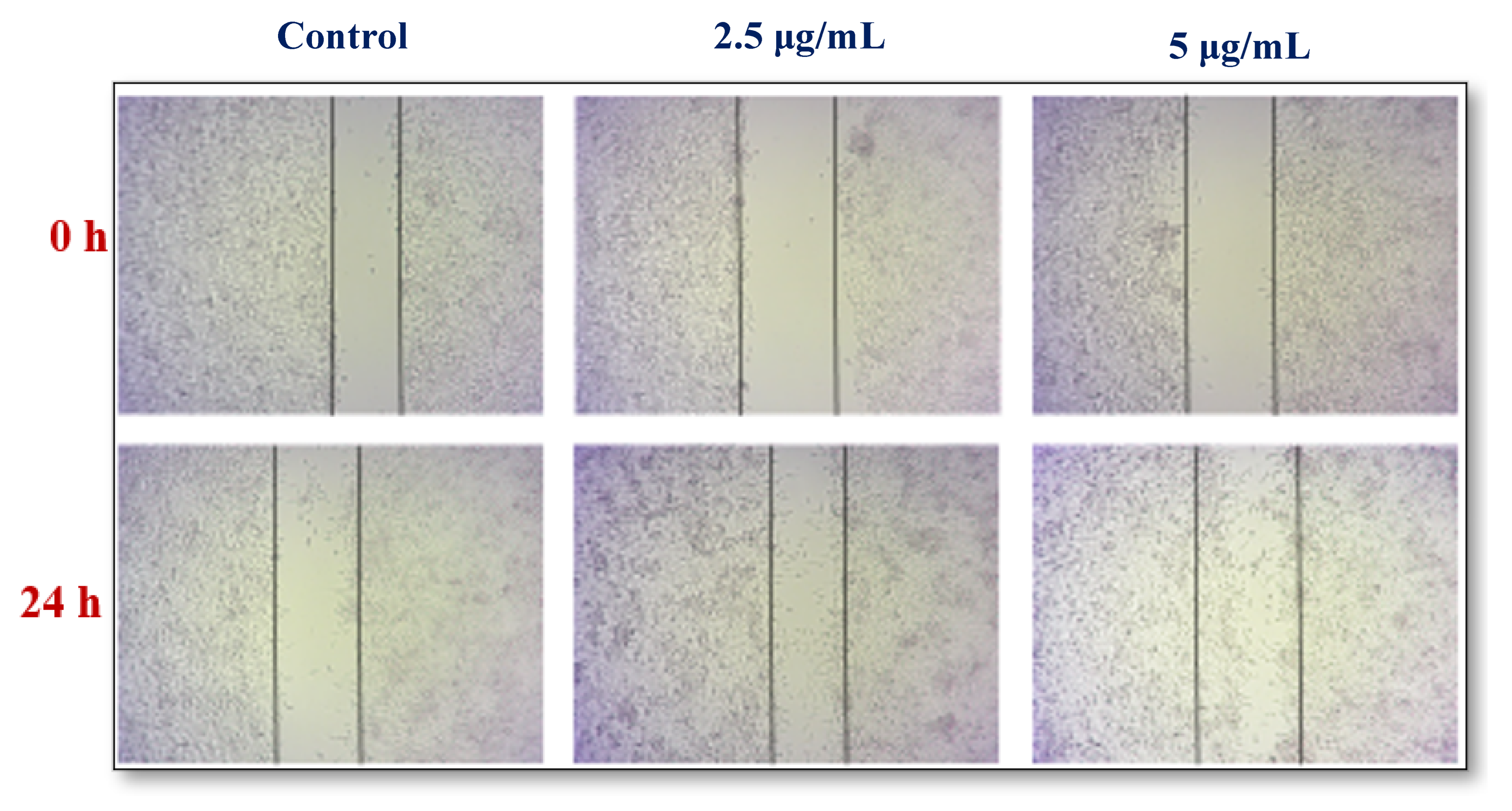 Nanomaterials 12 02759 g008 Nanomaterials 12 02759 g008