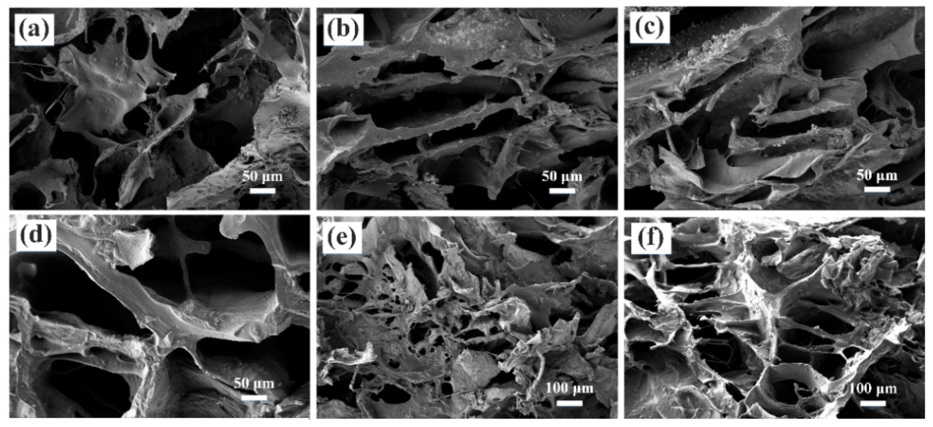 Nanomaterials 12 02762 g005