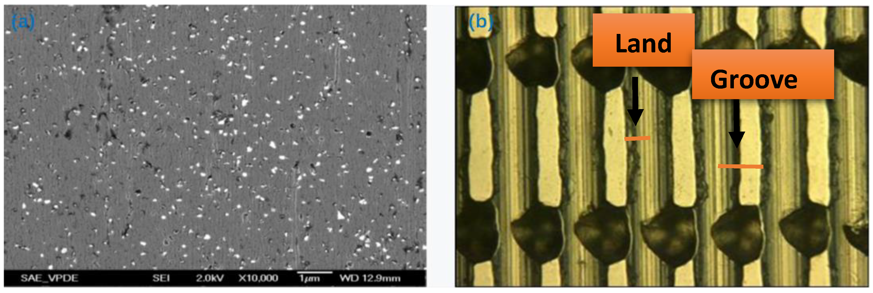 Nanomaterials 12 02763 g002
