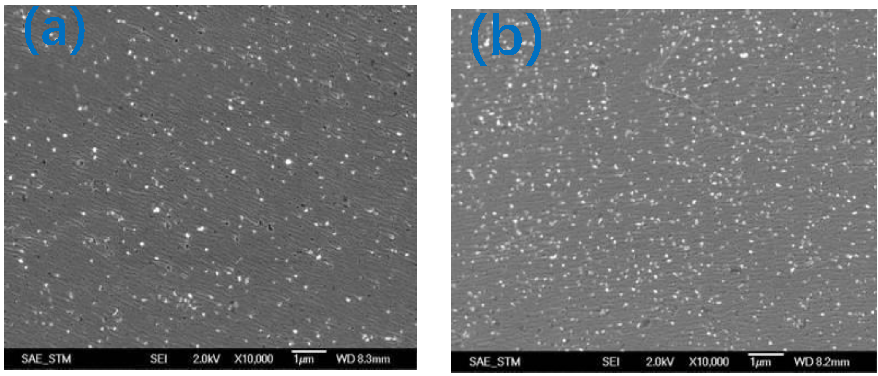 Nanomaterials 12 02763 g015