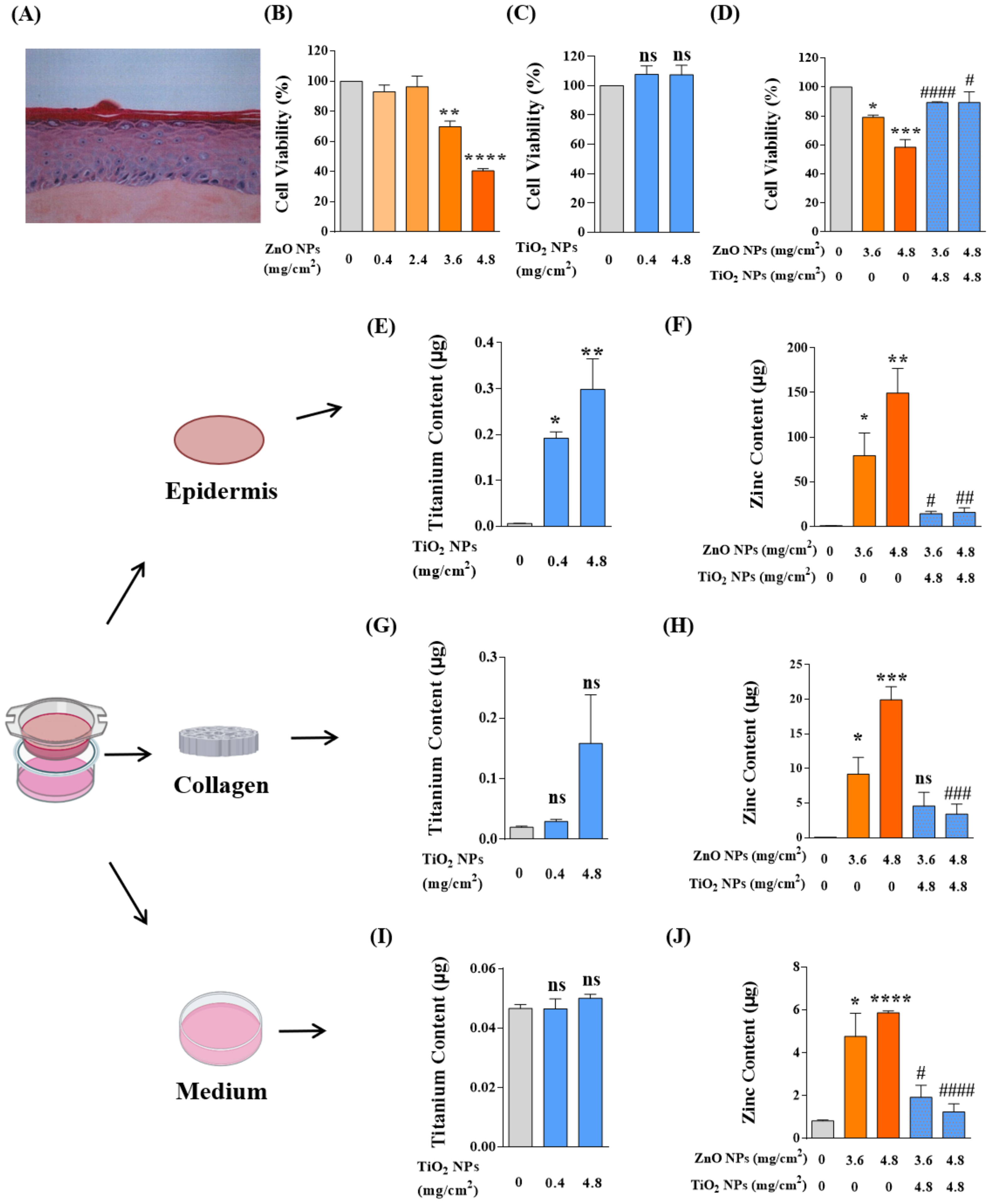 Nanomaterials 12 02769 g008 Nanomaterials 12 02769 g008