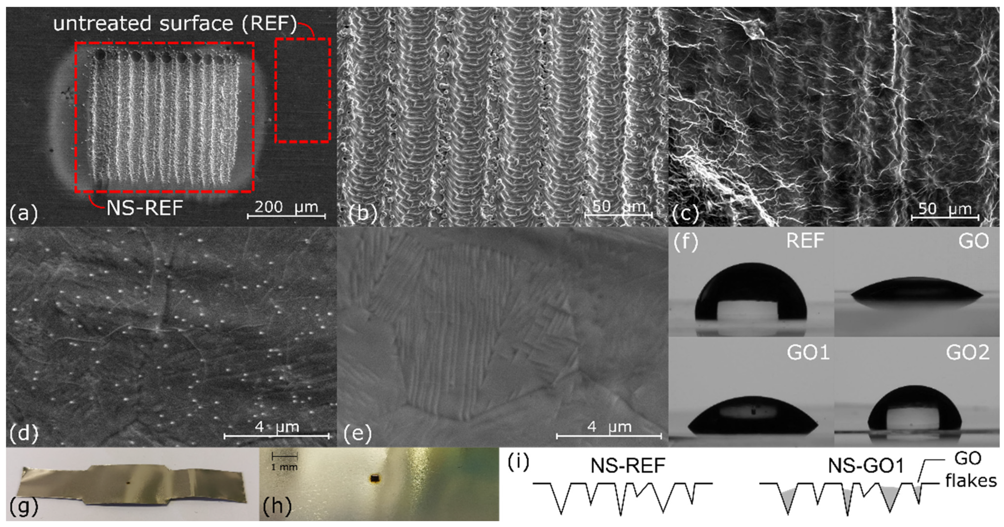 Nanomaterials 12 02772 g002
