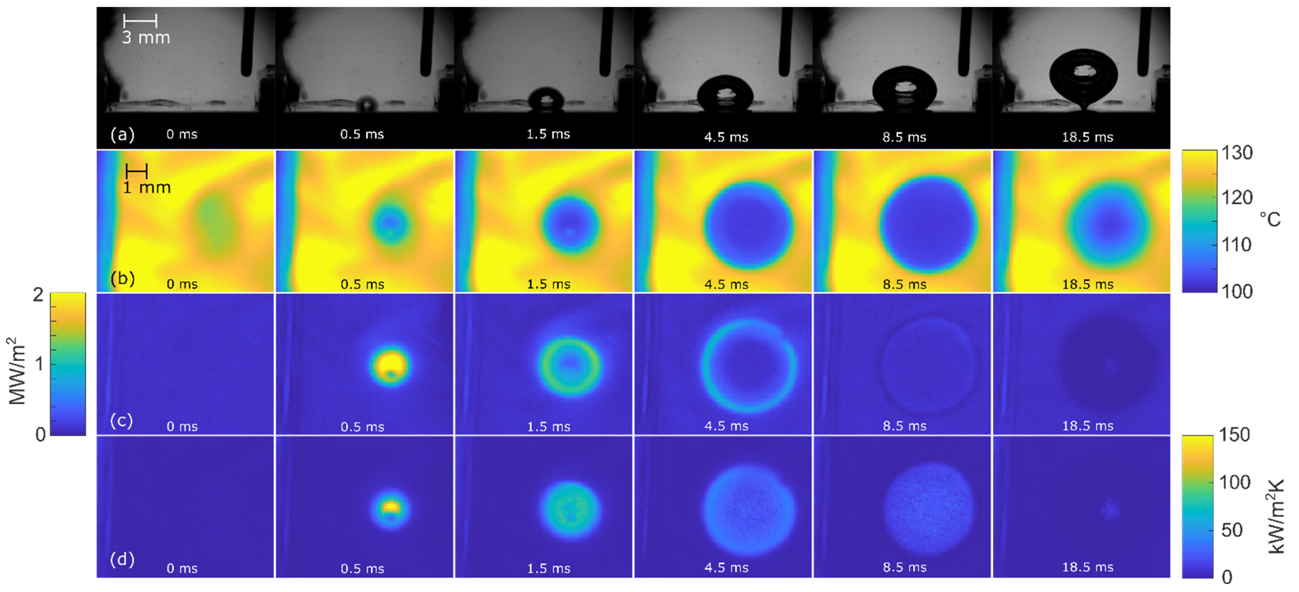 Nanomaterials 12 02772 g009