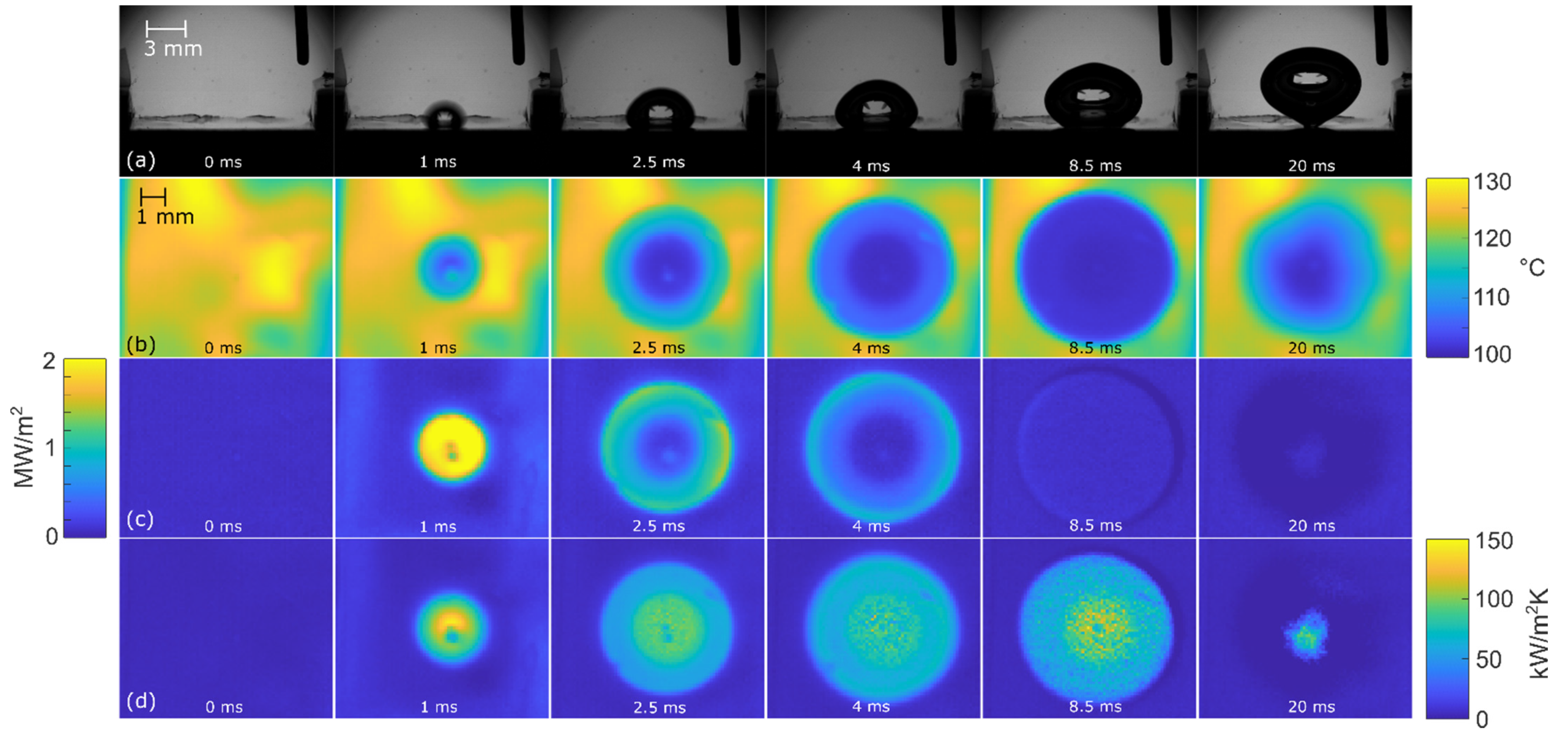 Nanomaterials 12 02772 g010