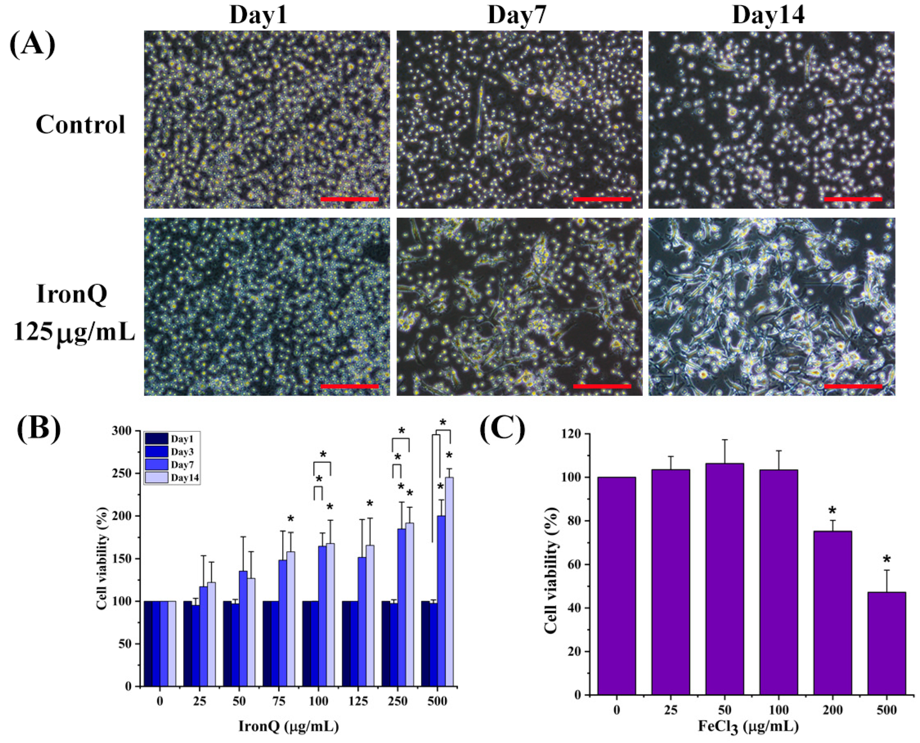 Nanomaterials 12 02776 g001