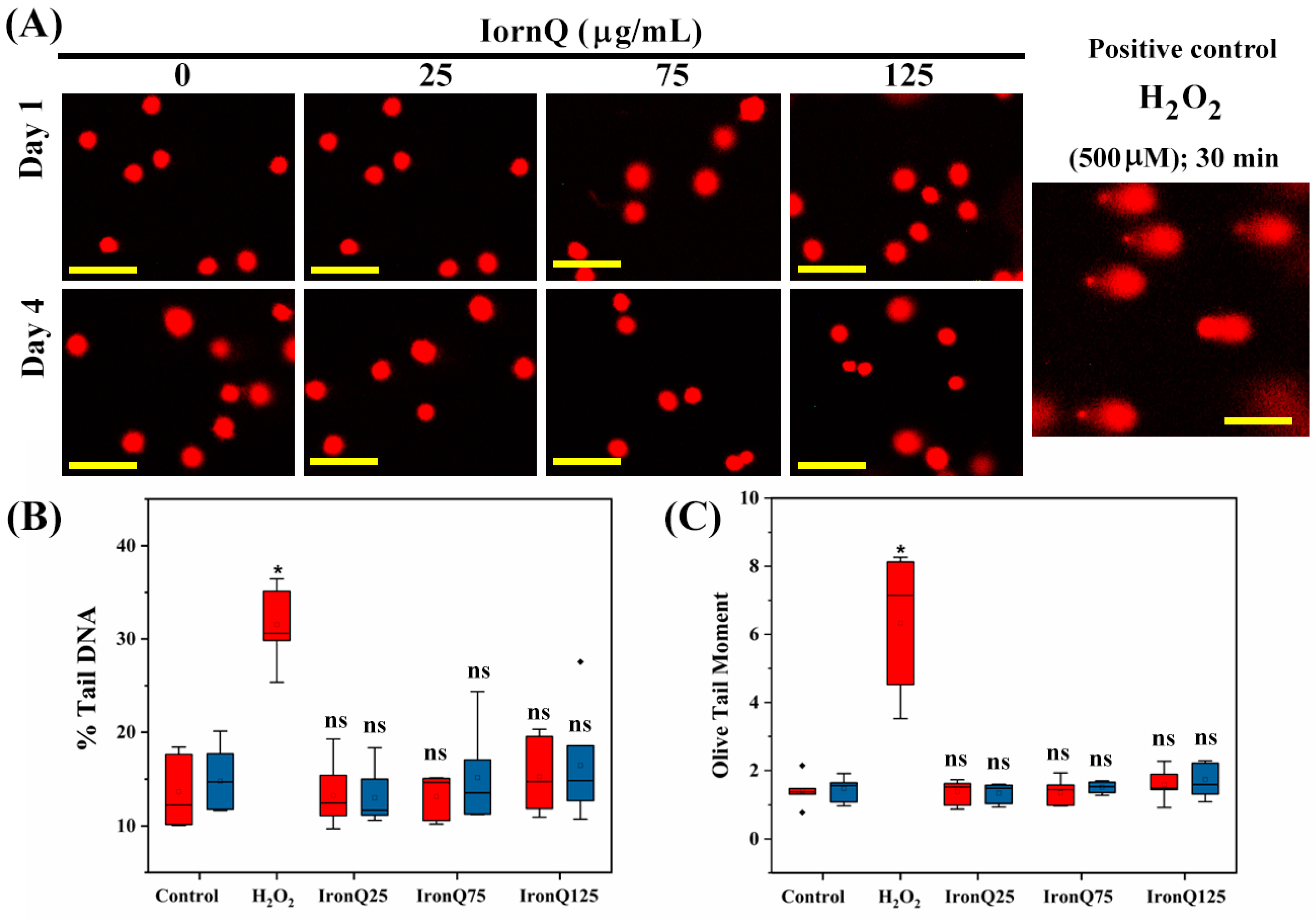 Nanomaterials 12 02776 g004