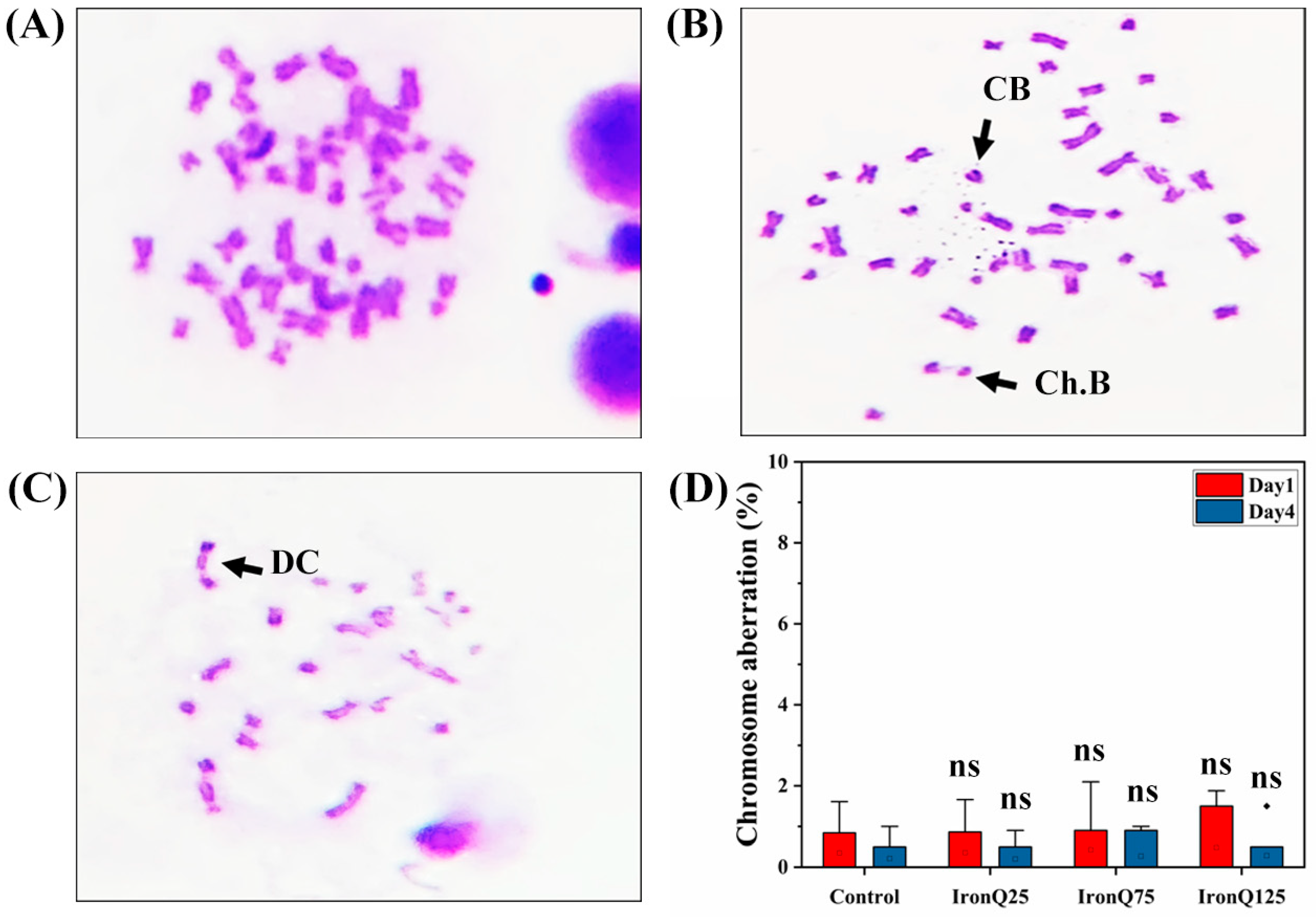 Nanomaterials 12 02776 g005