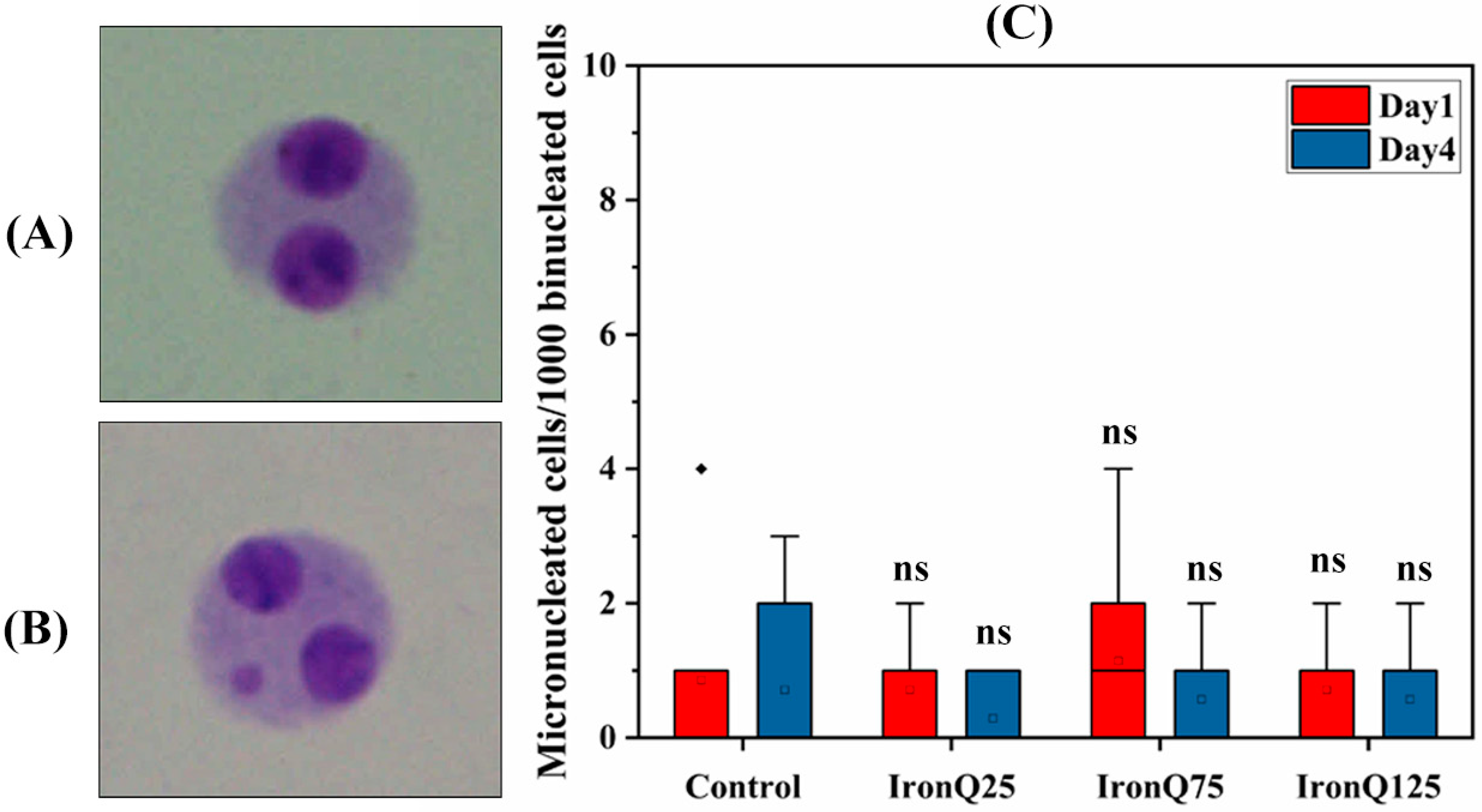 Nanomaterials 12 02776 g006