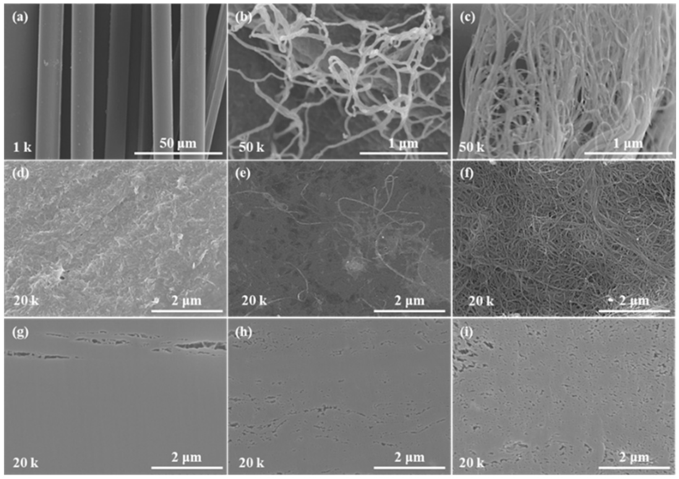 Nanomaterials 12 02780 g002