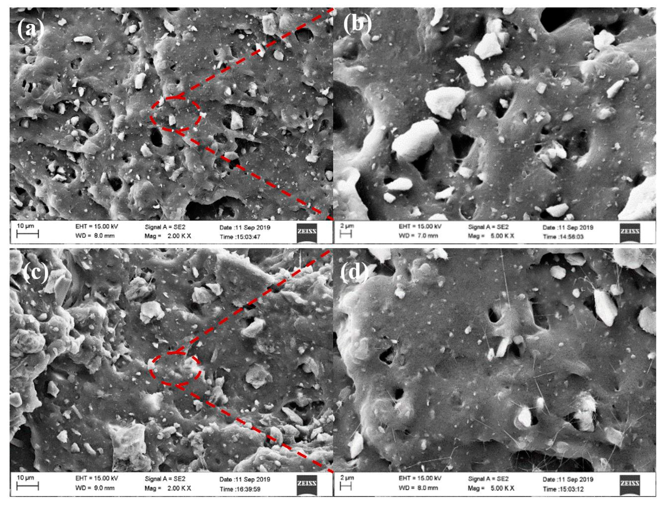 Nanomaterials 12 02784 g007 Nanomaterials 12 02784 g007