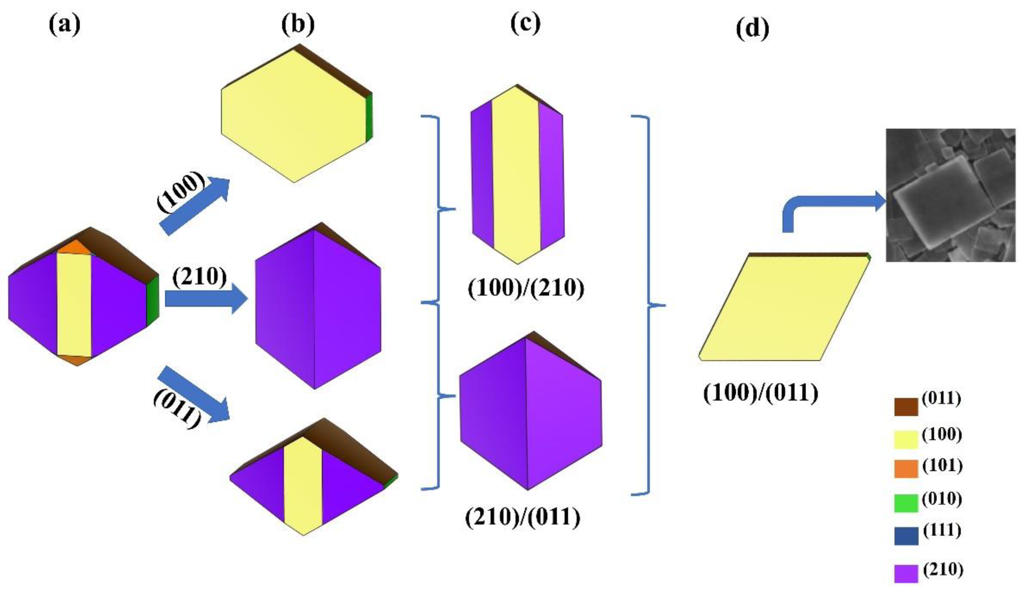 Nanomaterials 12 02795 g006