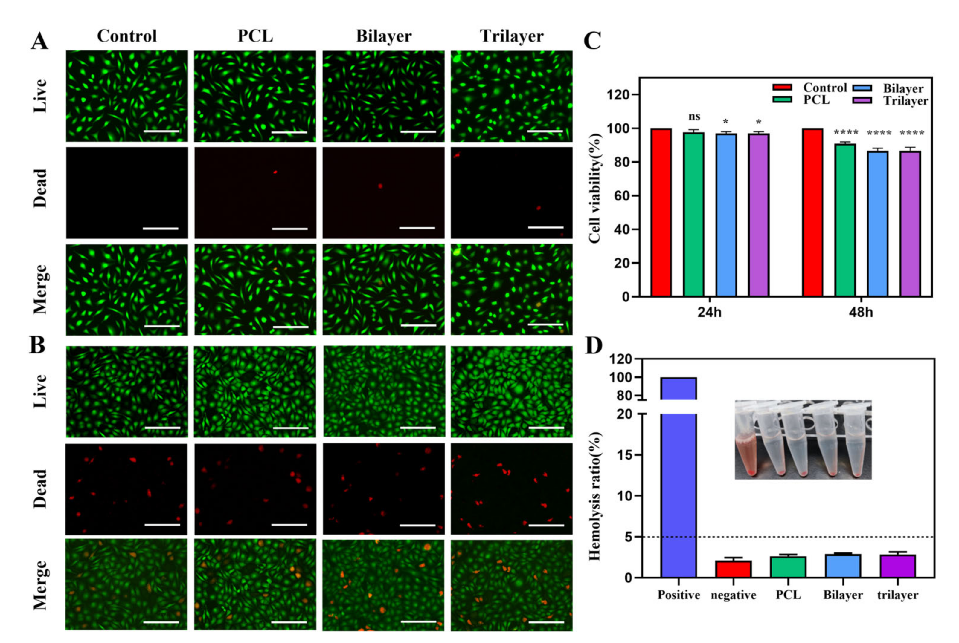 Nanomaterials 12 02802 g004 Nanomaterials 12 02802 g004