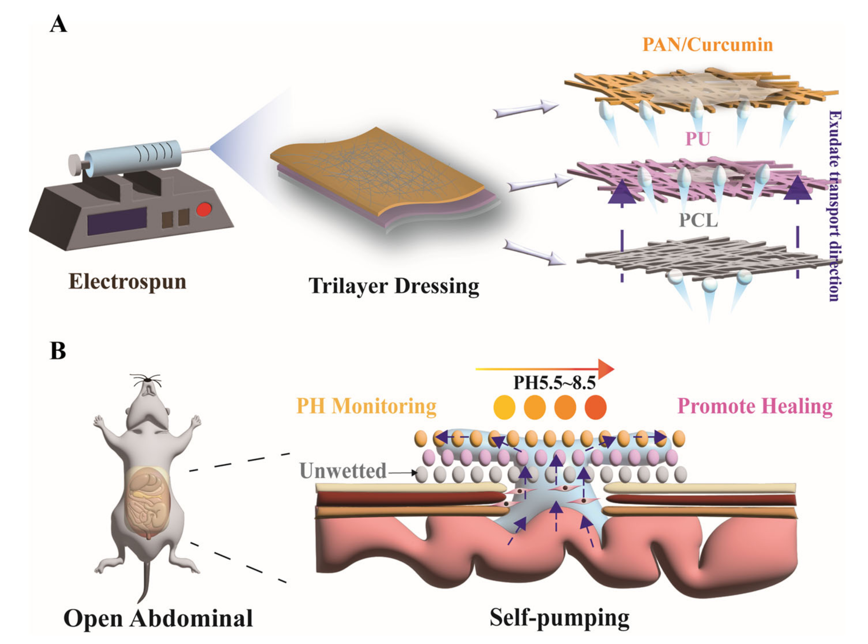 Nanomaterials 12 02802 sch001 Nanomaterials 12 02802 sch001