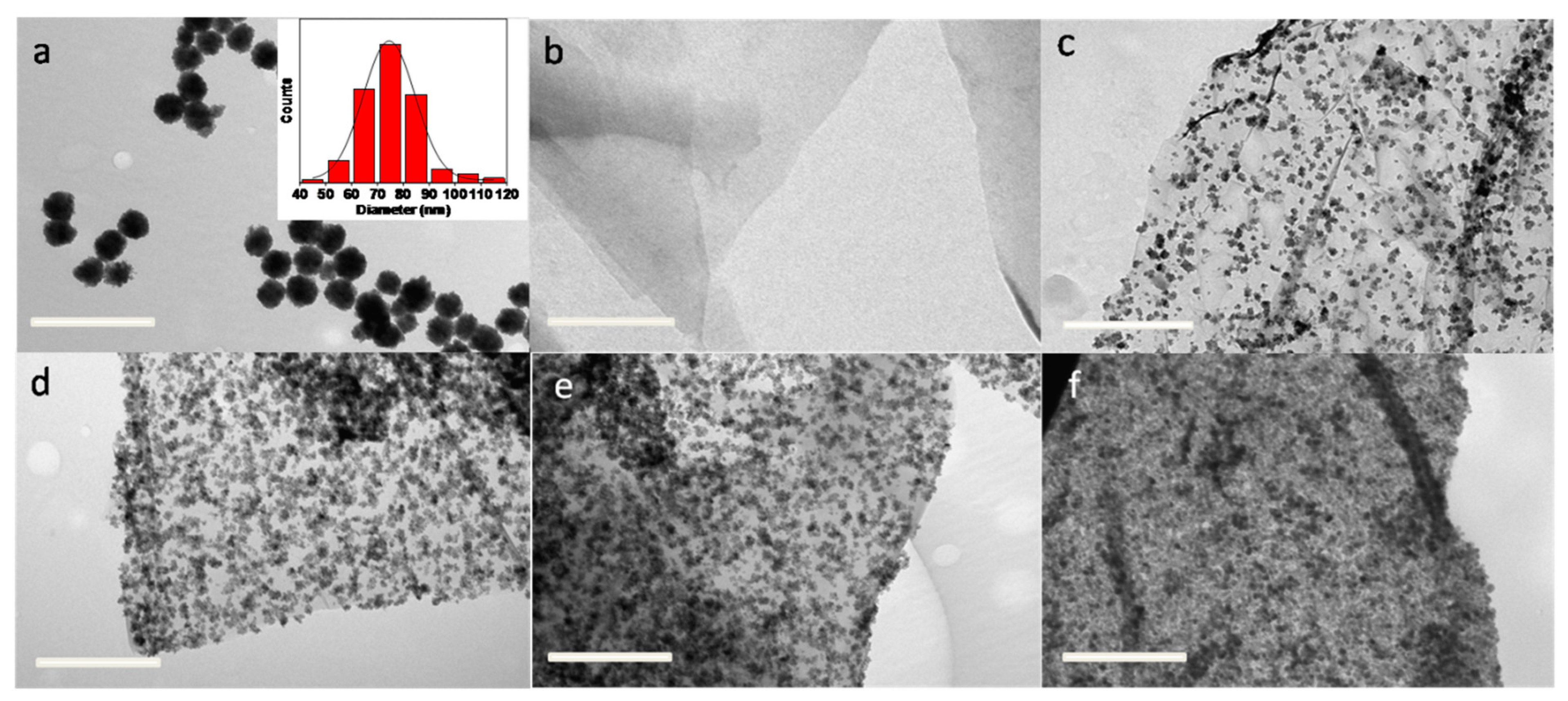 Nanomaterials 12 02805 g001 Nanomaterials 12 02805 g001