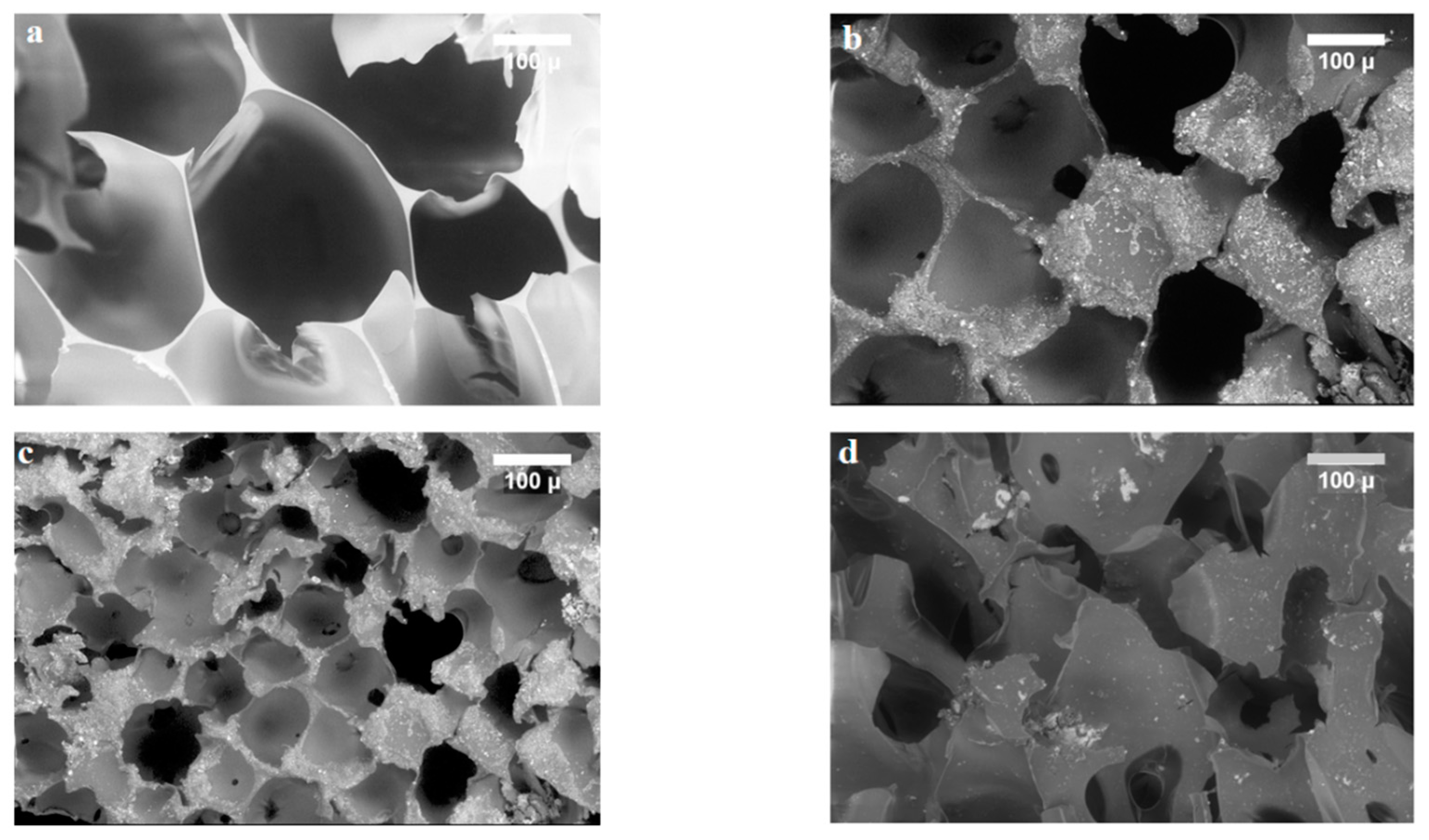 Nanomaterials 12 02805 g007 Nanomaterials 12 02805 g007