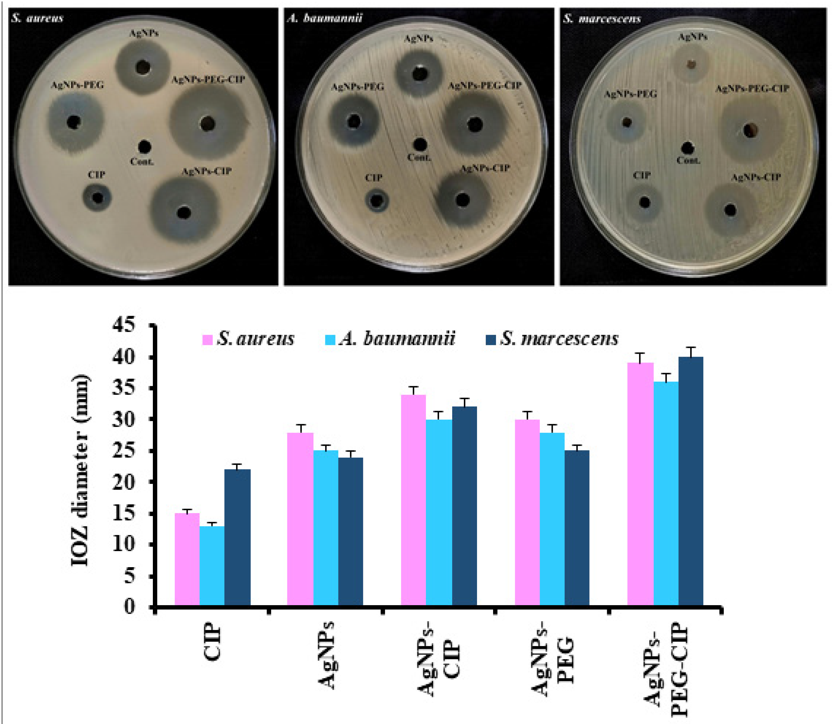 Nanomaterials 12 02808 g013 Nanomaterials 12 02808 g013