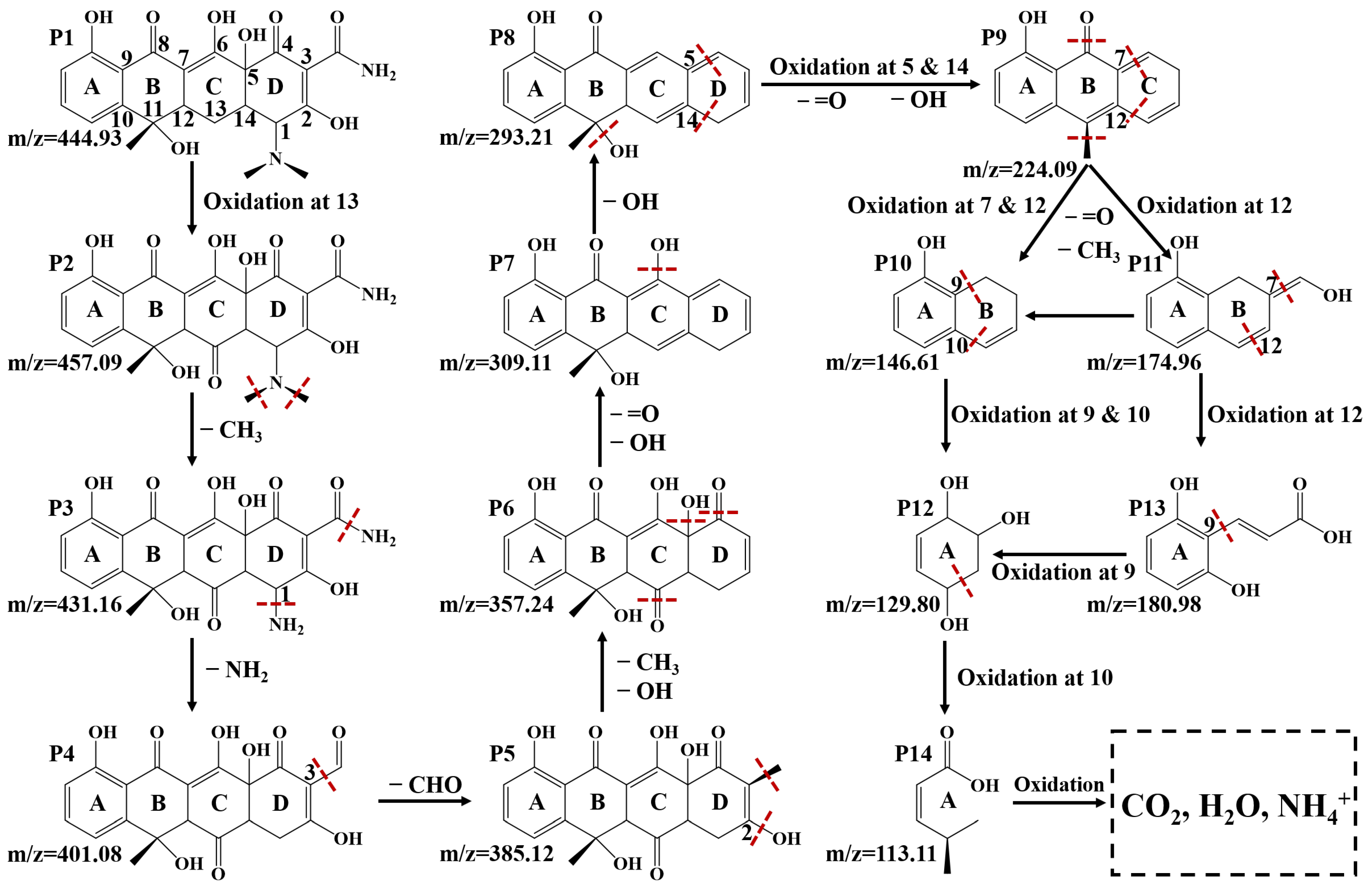 Nanomaterials 12 02827 g006