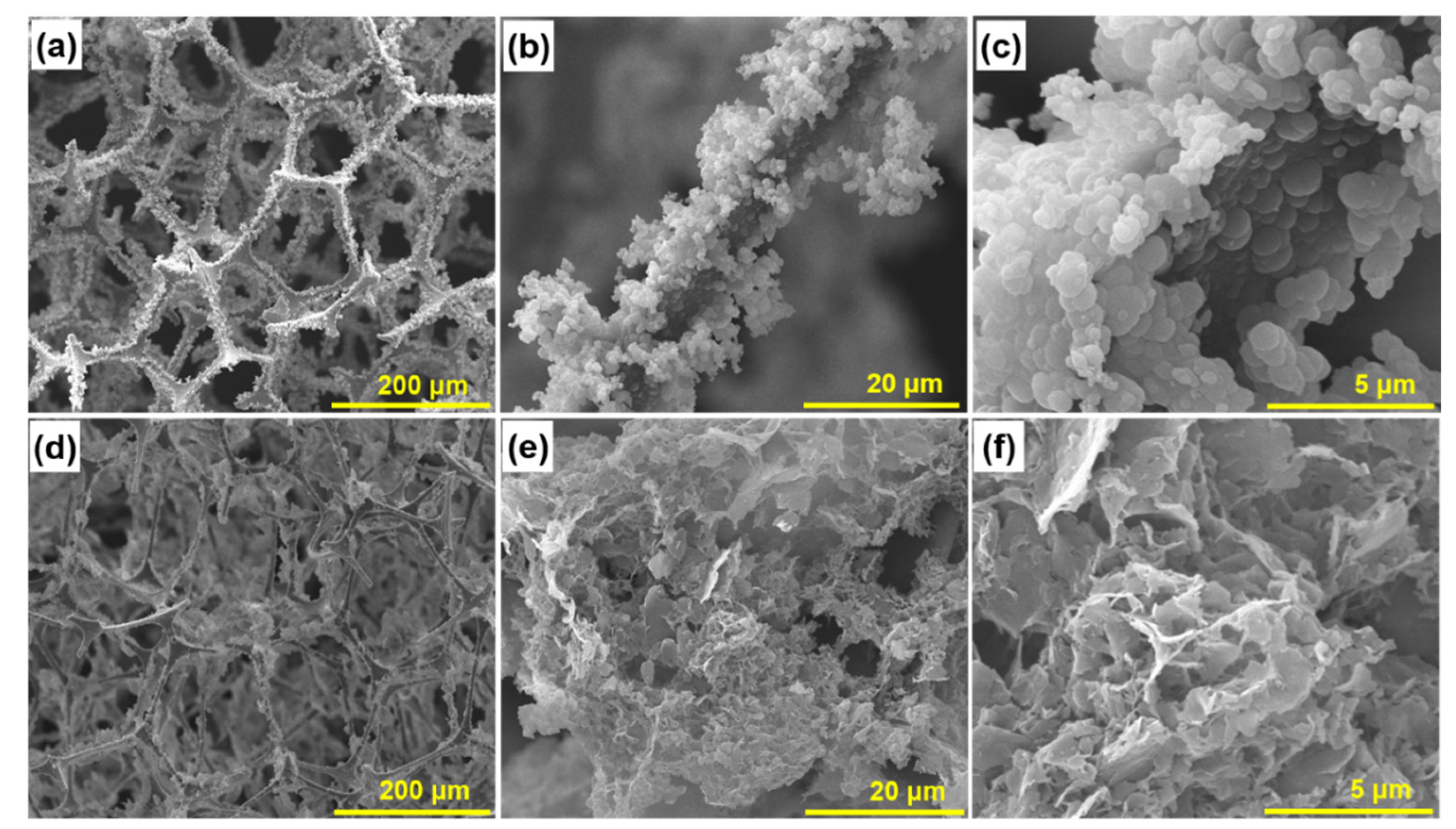 Nanomaterials 12 02838 g001
