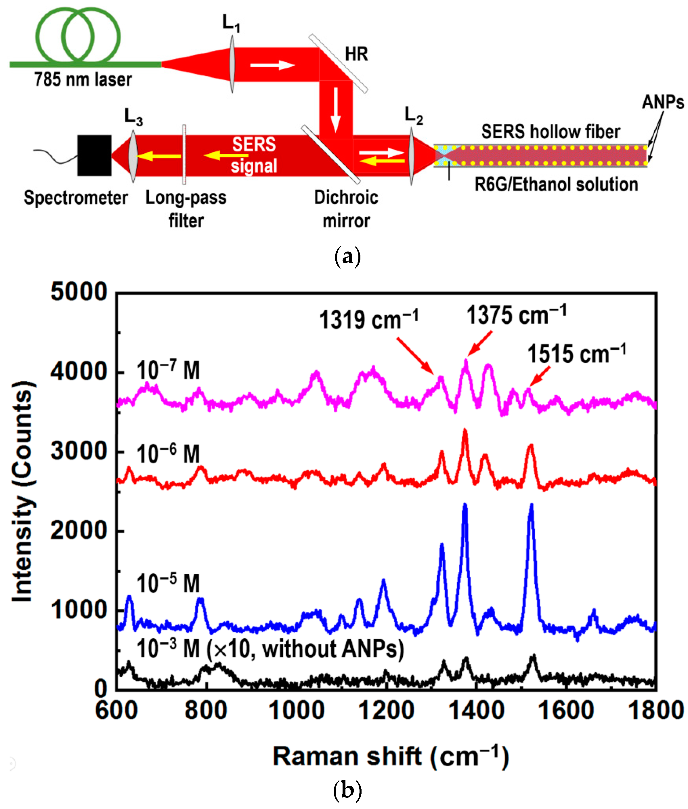 Nanomaterials 12 02843 g004