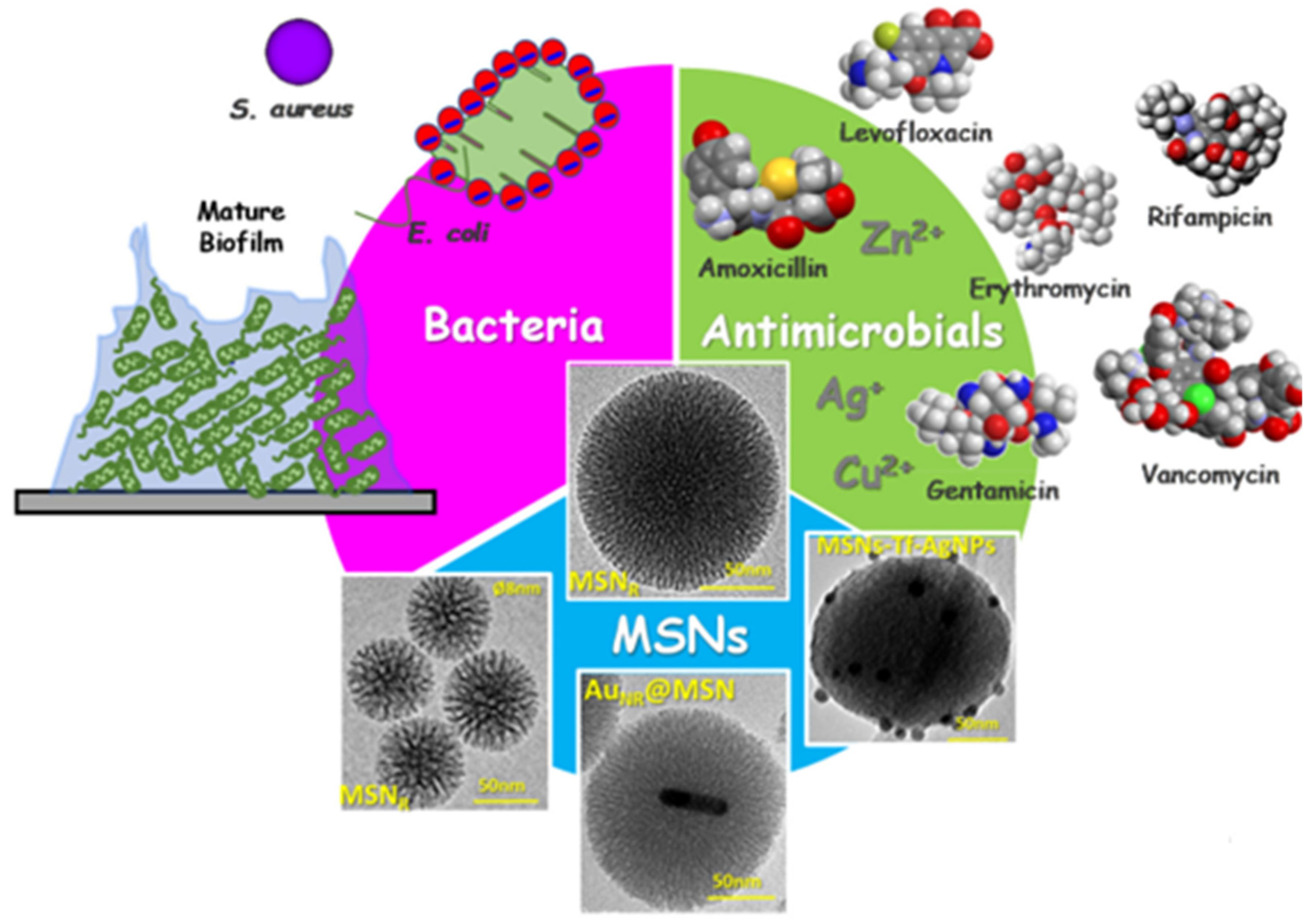 Nanomaterials 12 02848 g002
