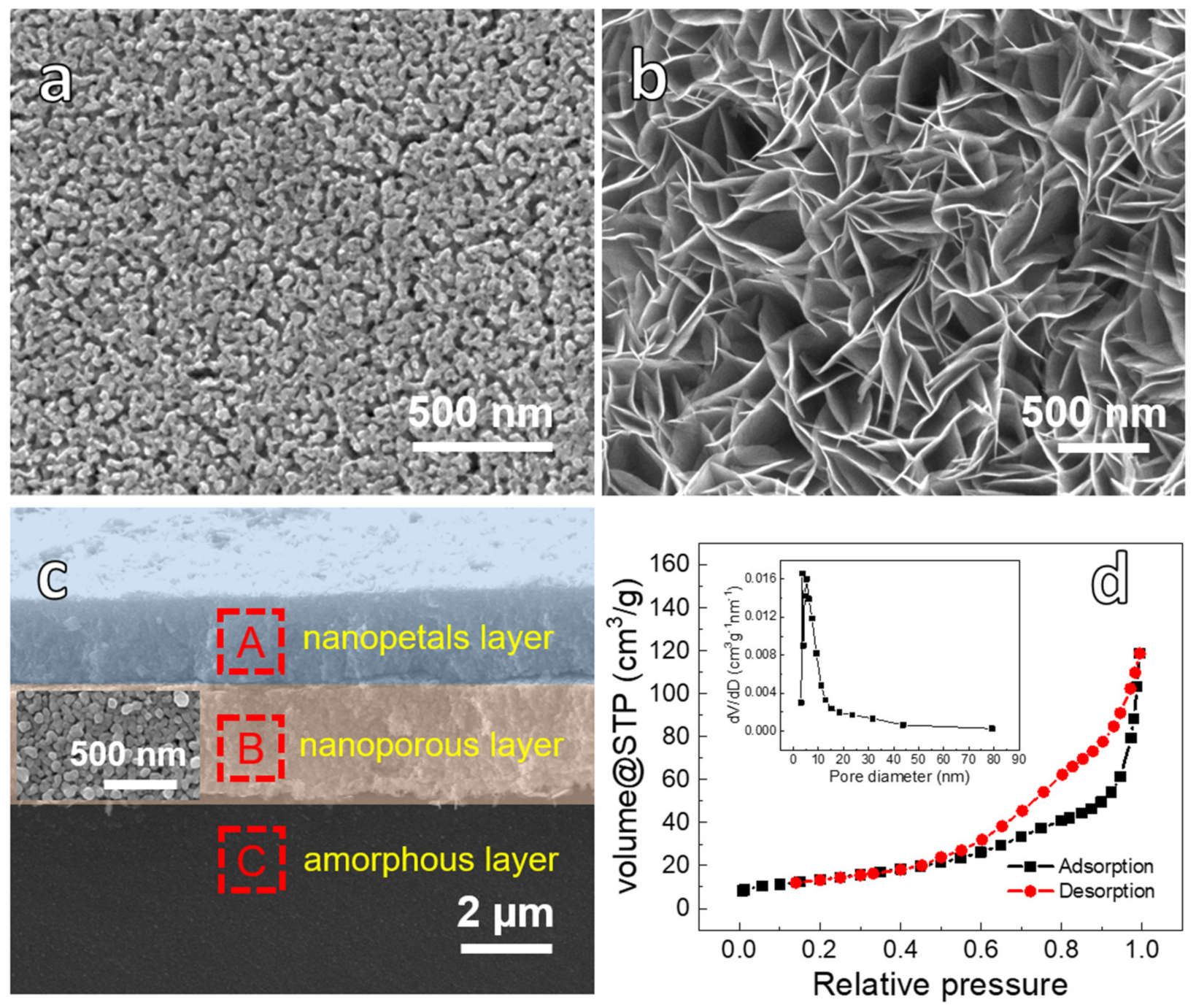 Nanomaterials 12 02850 g001