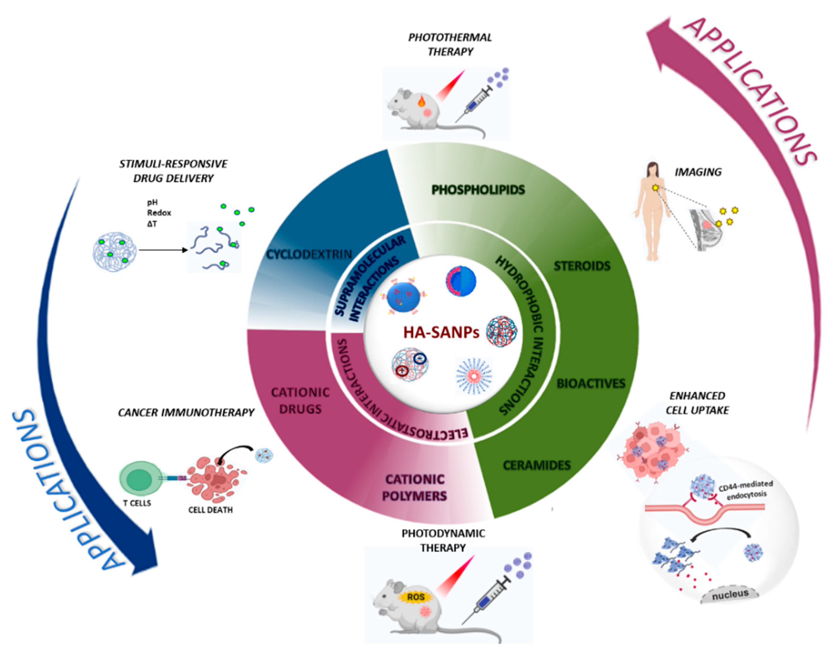 Nanomaterials 12 02851 g001
