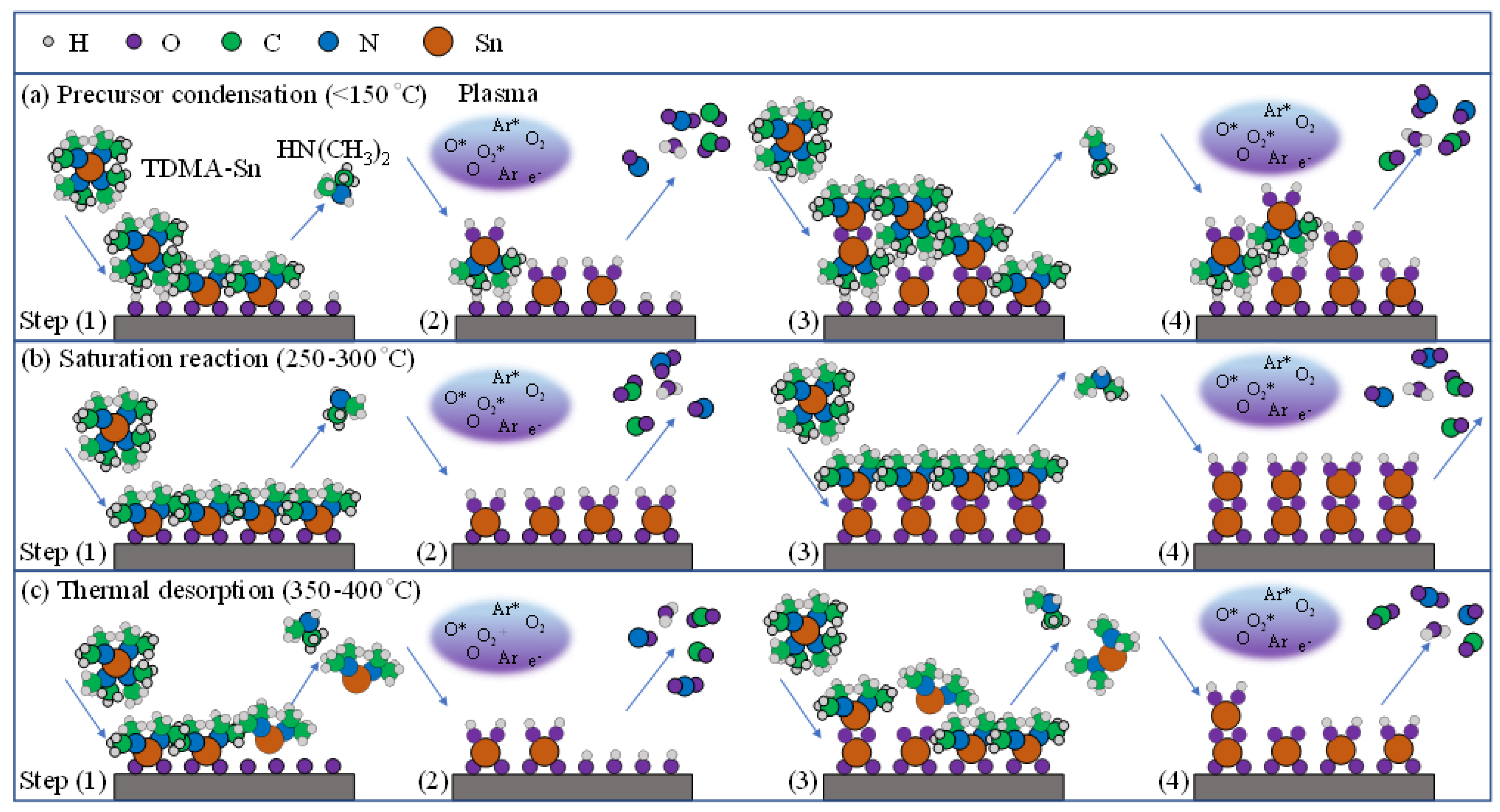 Nanomaterials 12 02859 g001