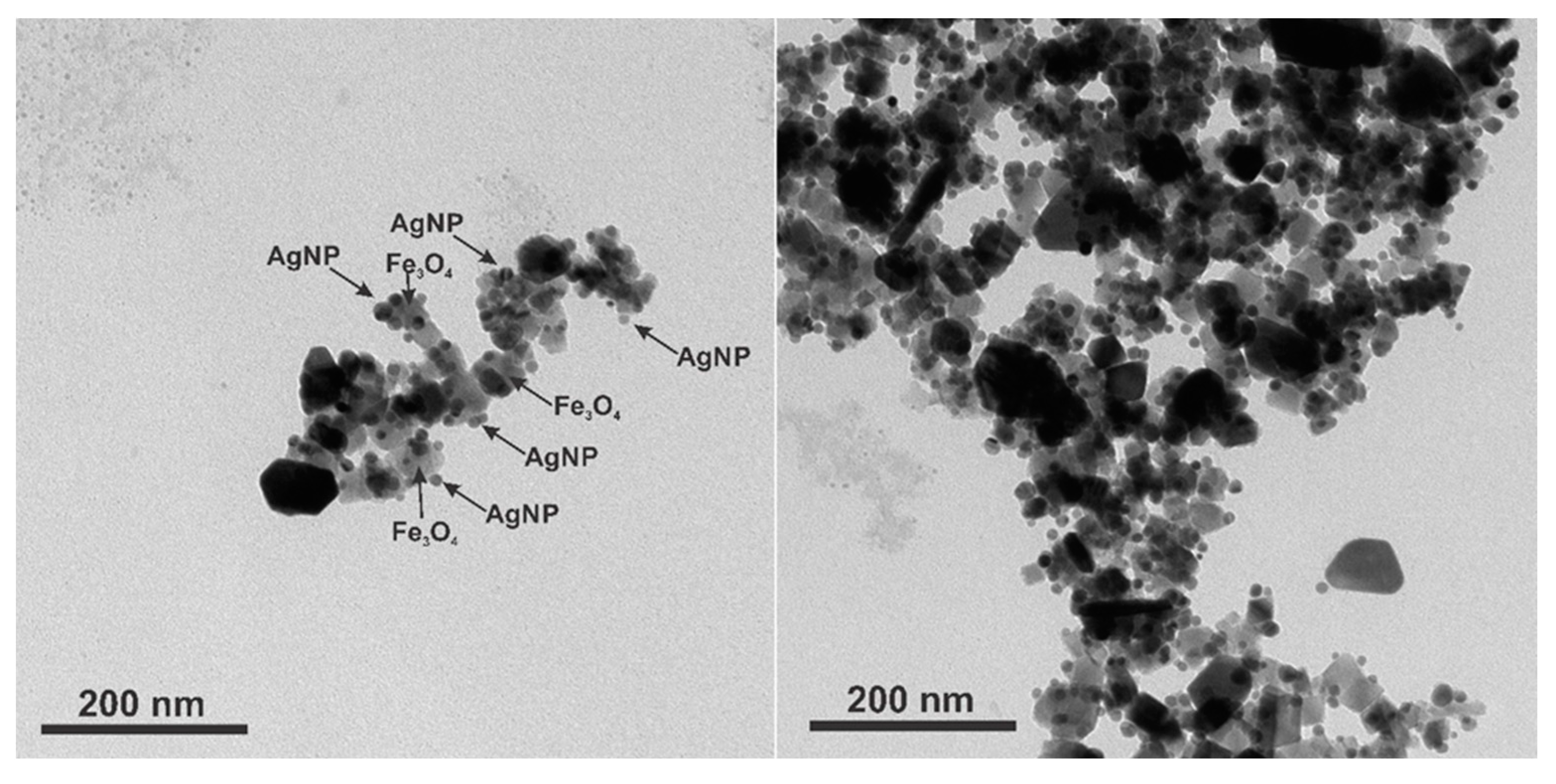 Nanomaterials 12 02860 g008