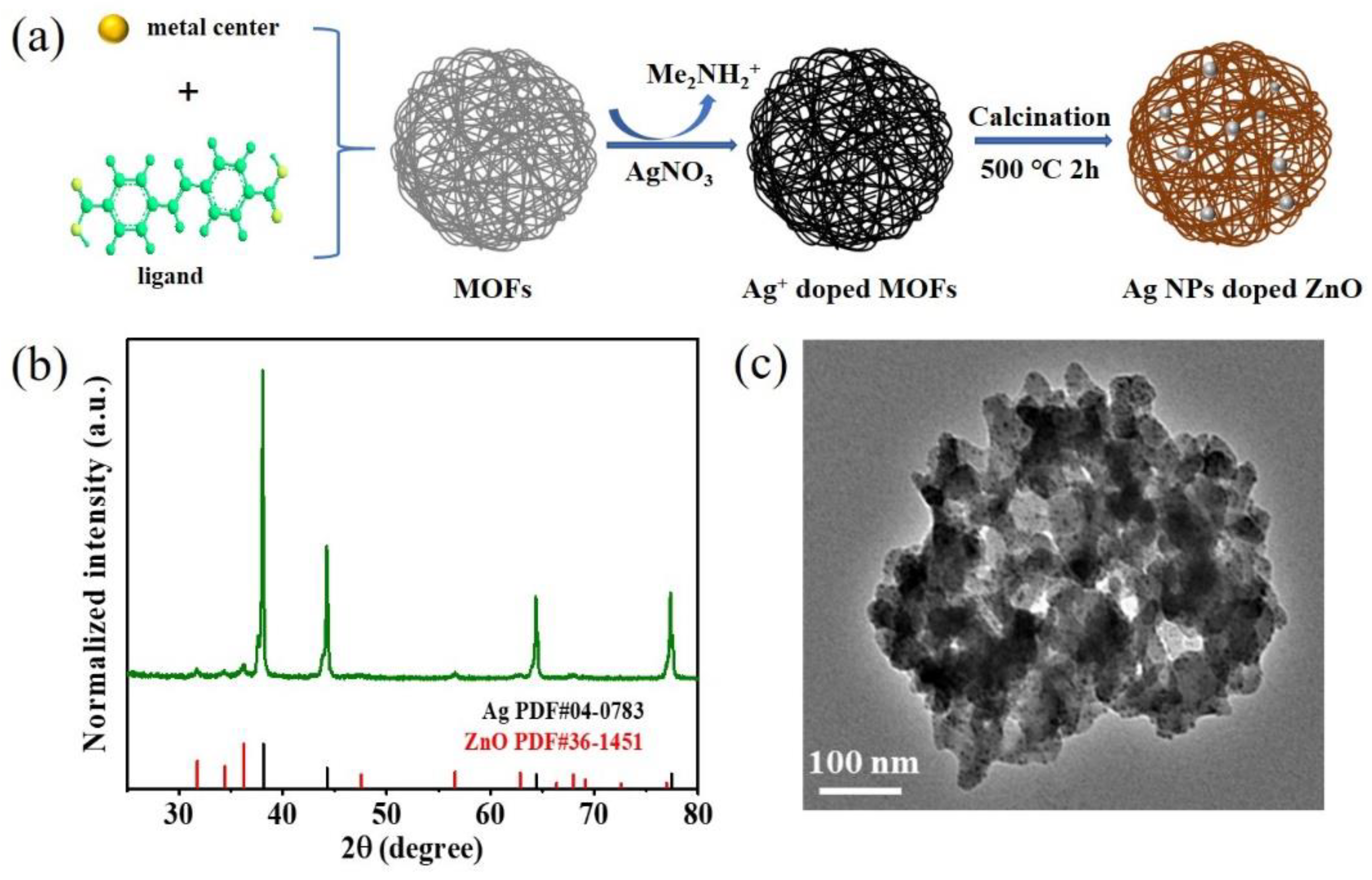 Nanomaterials 12 02863 g001