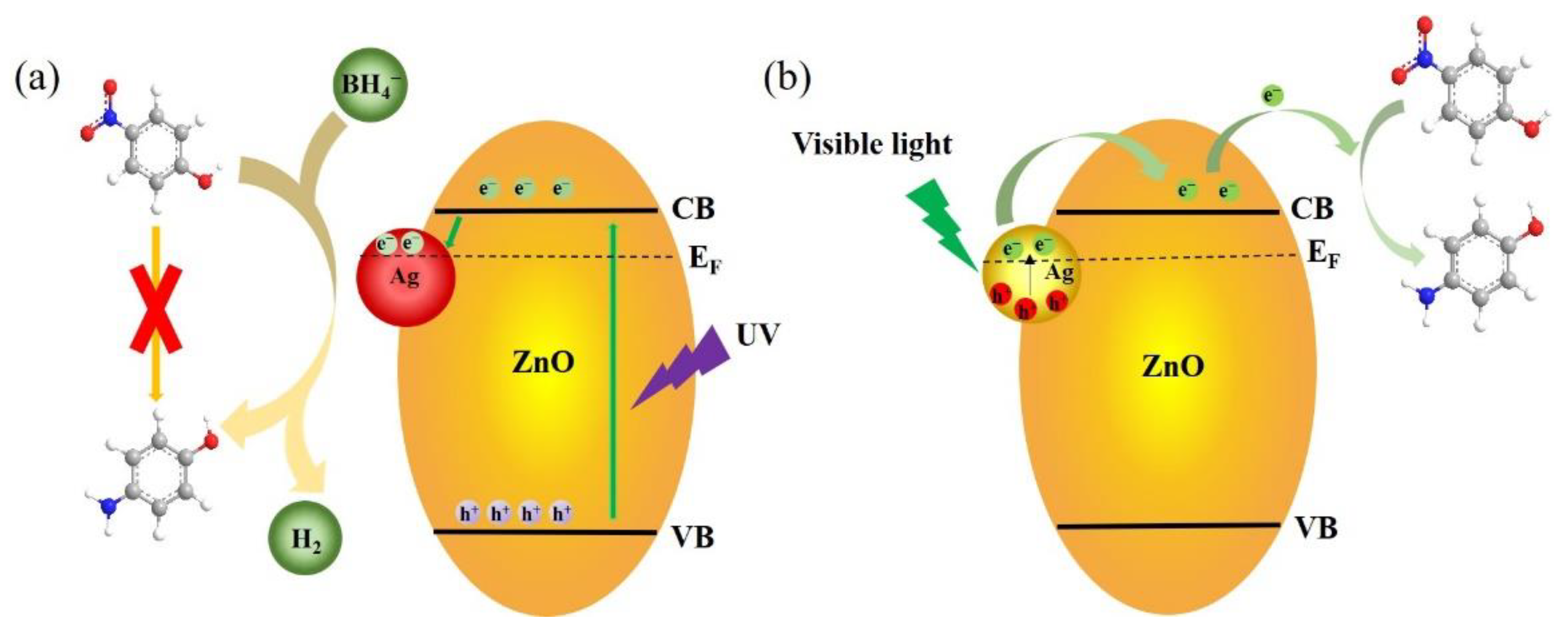 Nanomaterials 12 02863 g004
