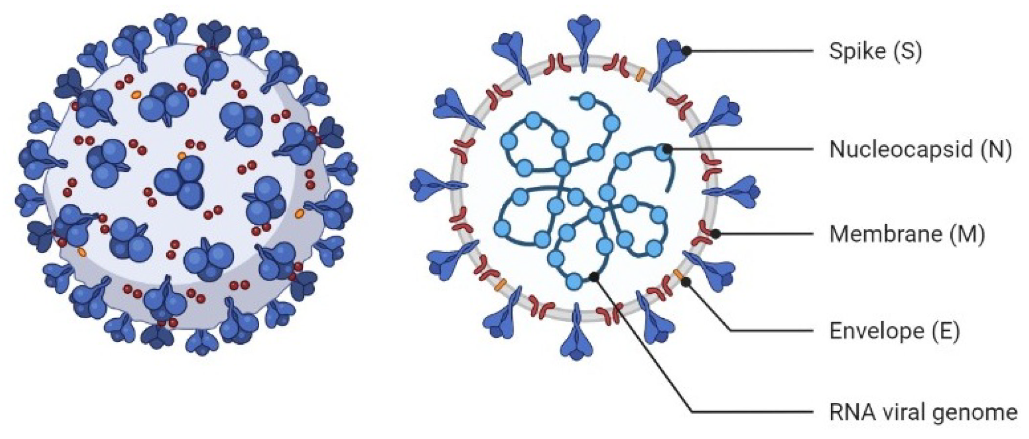 Nanomaterials 12 02868 g001