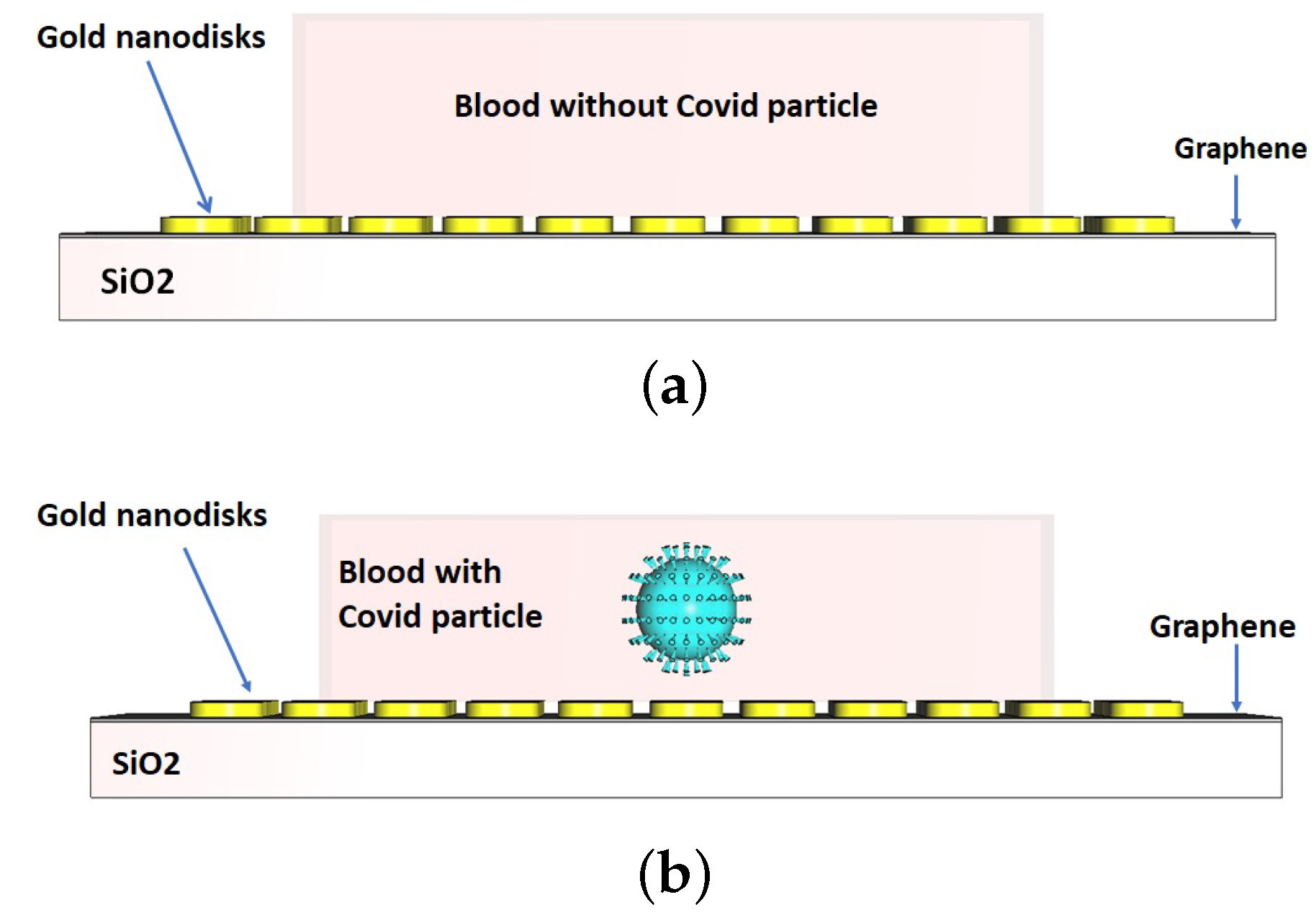 Nanomaterials 12 02868 g010