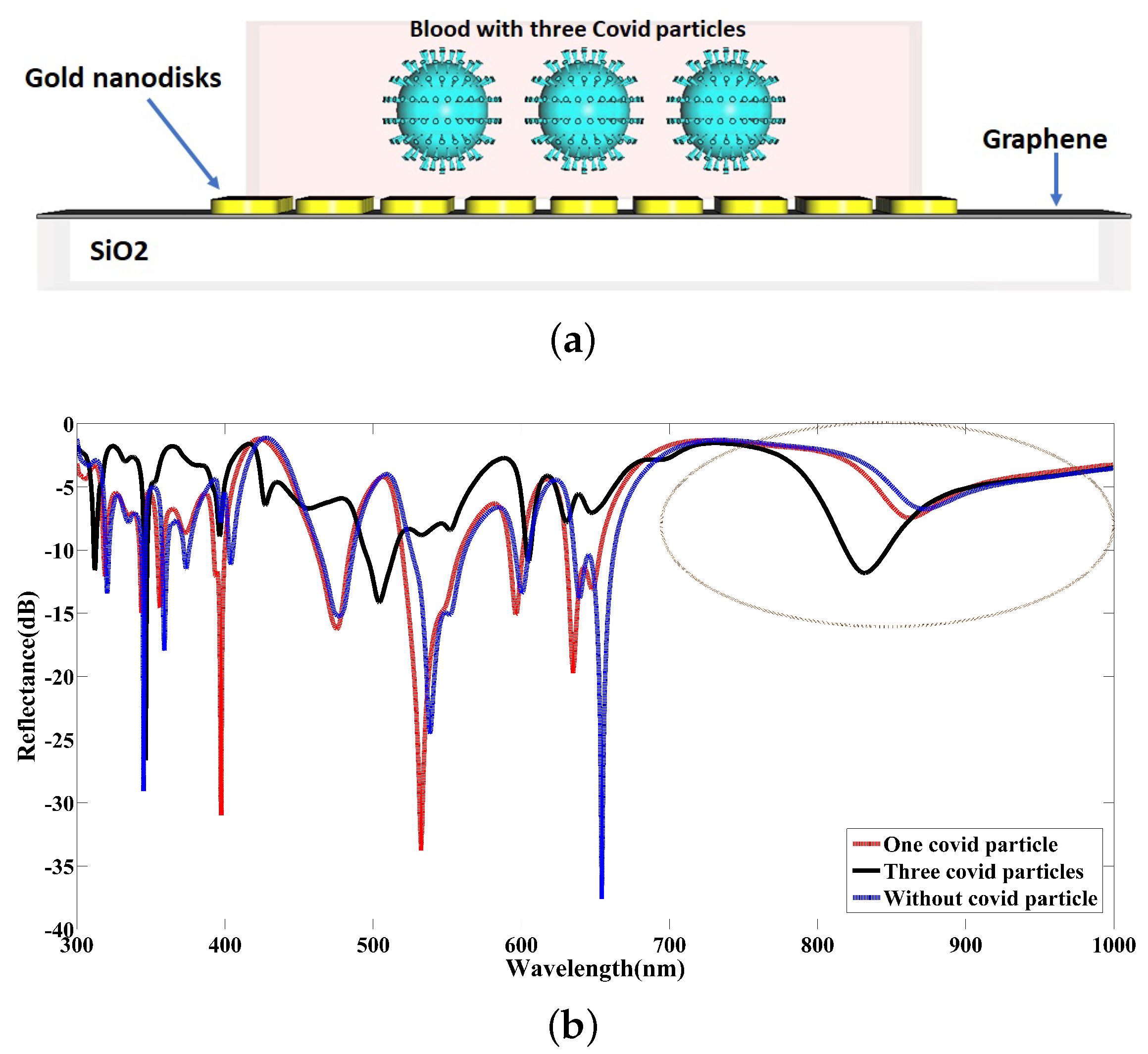 Nanomaterials 12 02868 g012
