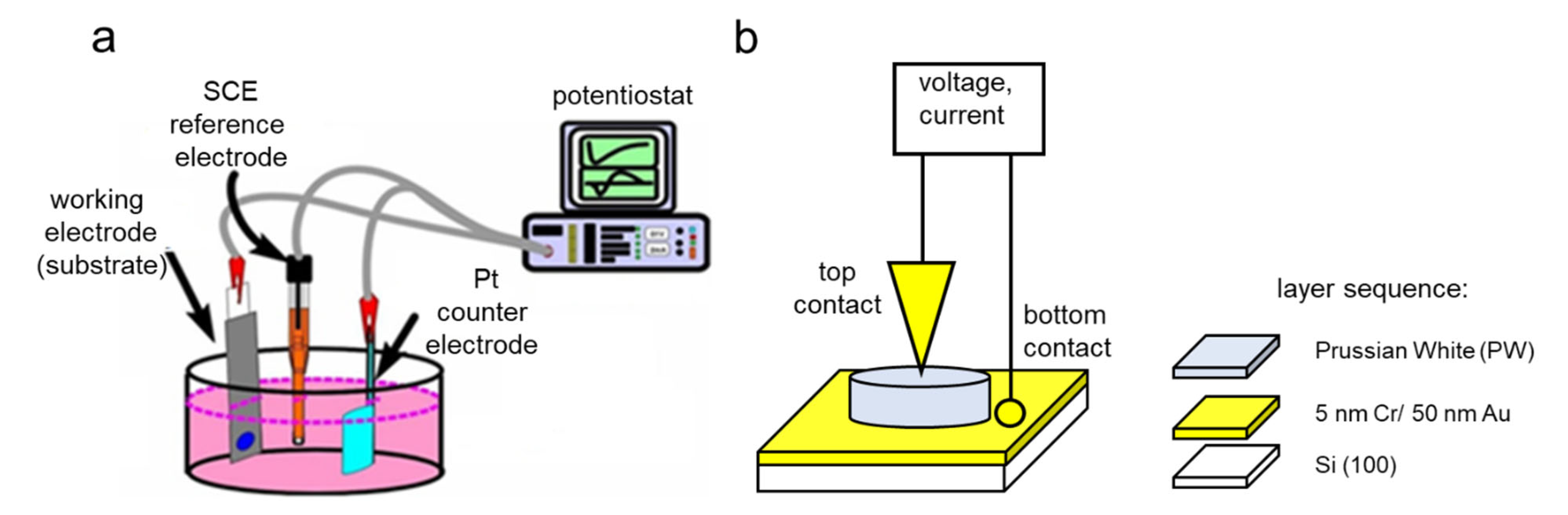 Nanomaterials 12 02881 g001