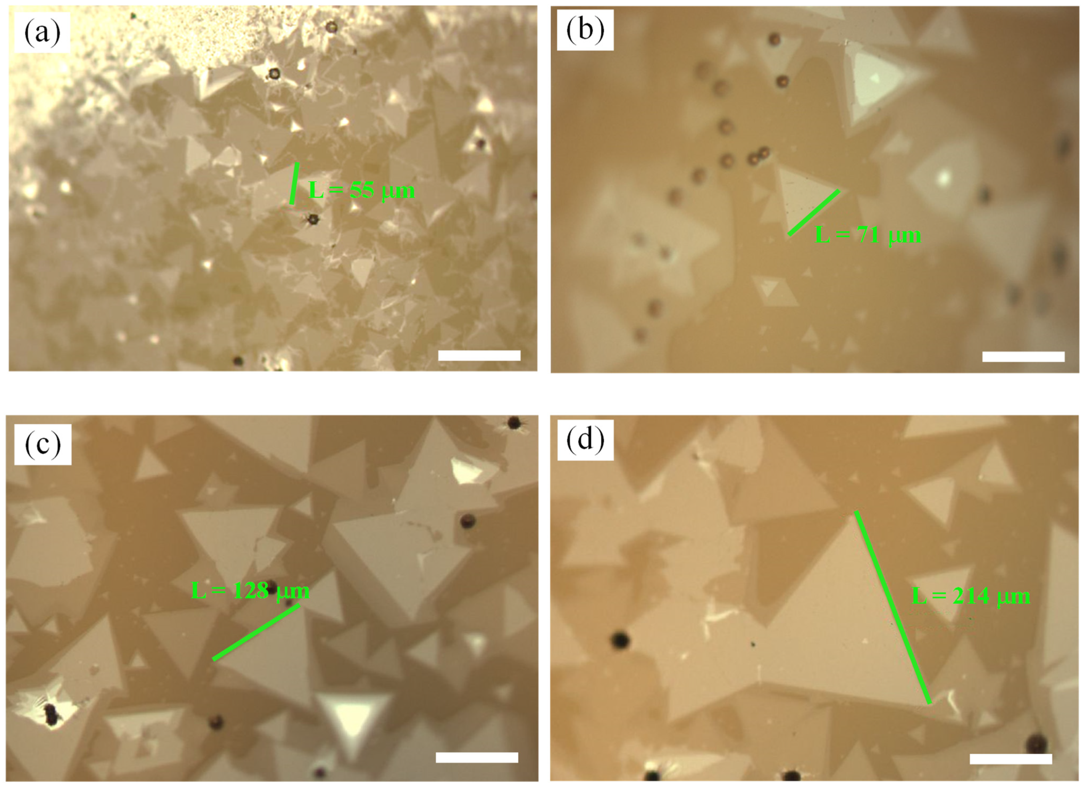 Nanomaterials 12 02913 g005