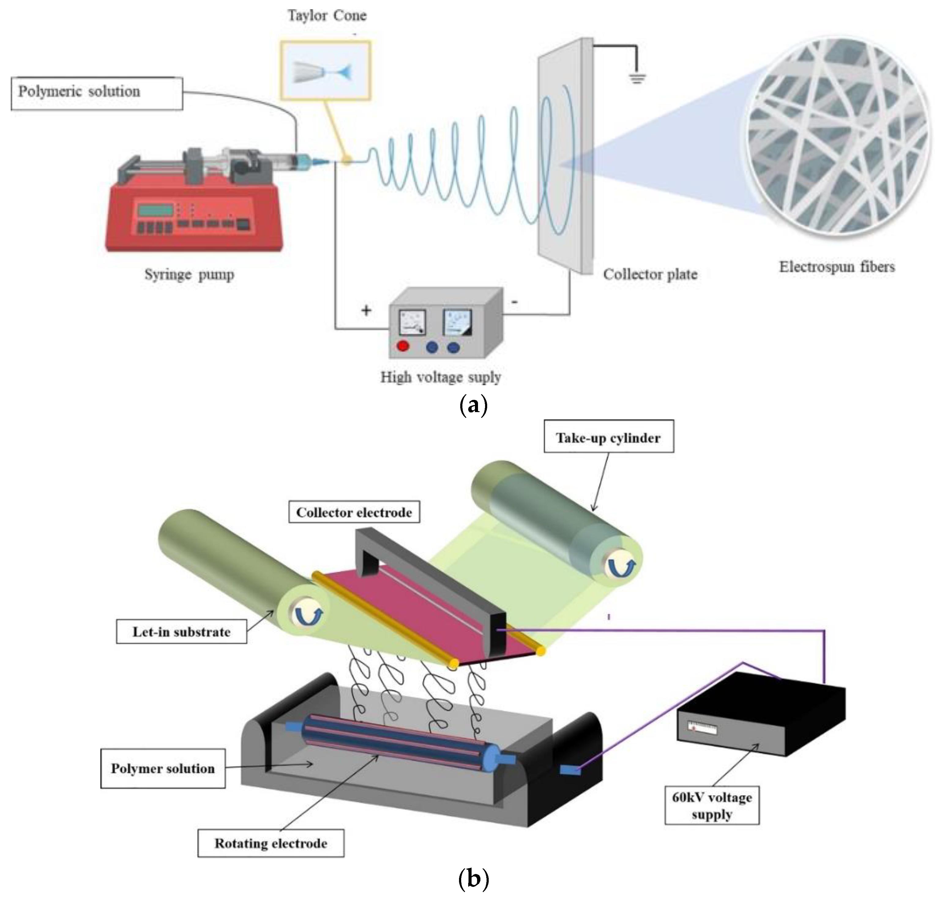Nanomaterials 12 02919 g001a