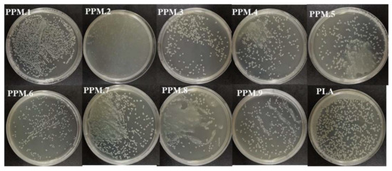 Nanomaterials 12 02932 g007 550