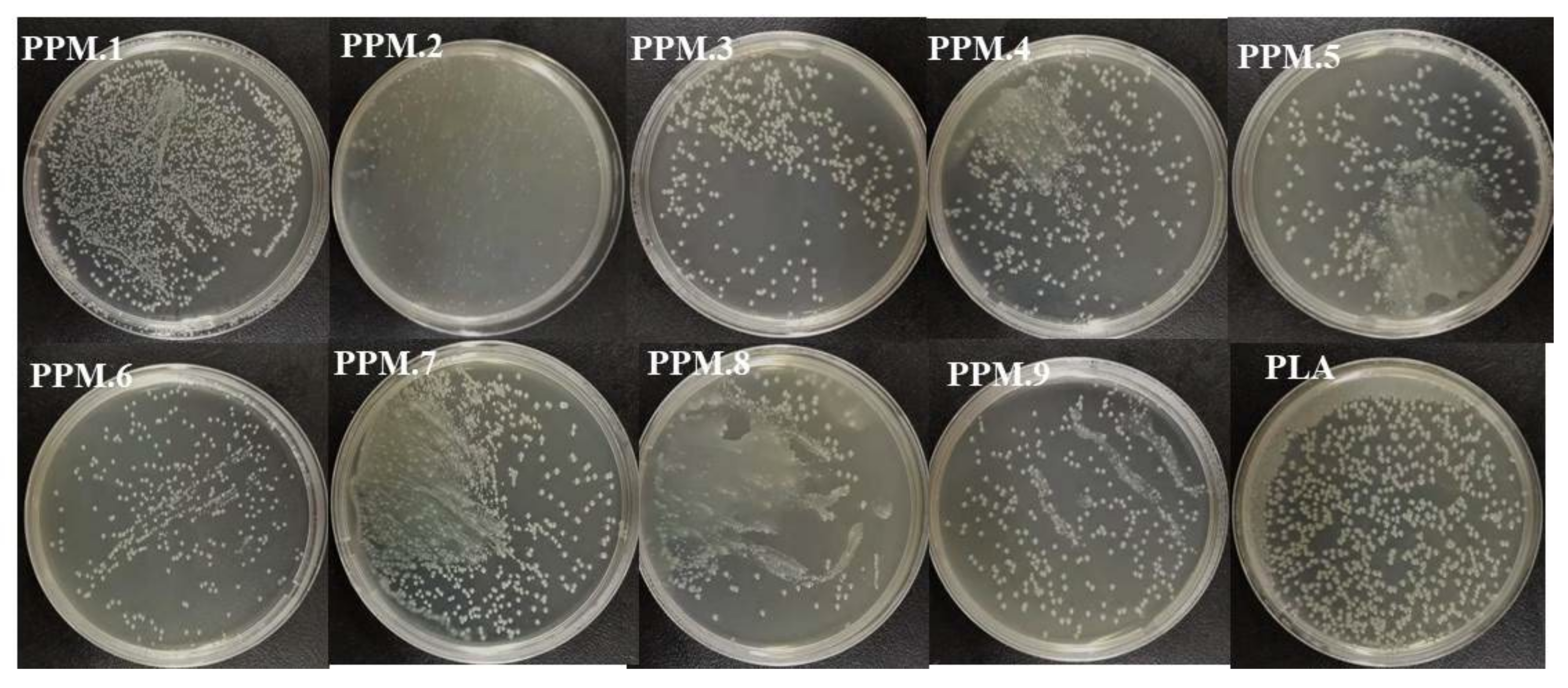 Nanomaterials 12 02932 g007