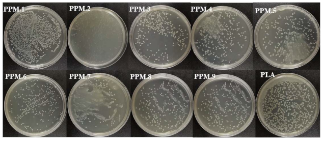 Nanomaterials 12 02932 i001