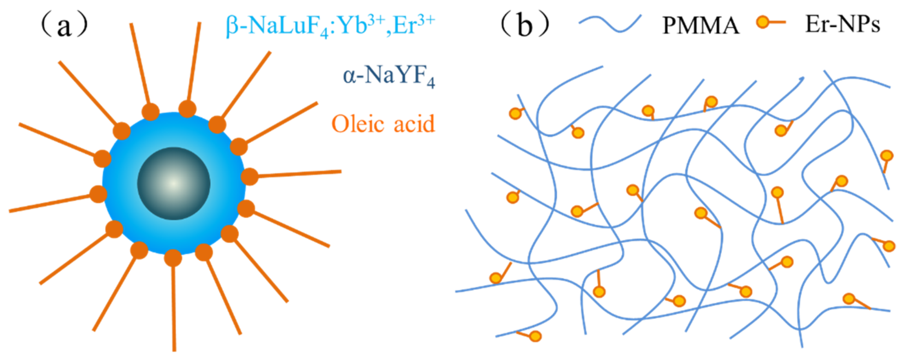 Nanomaterials 12 02937 g003