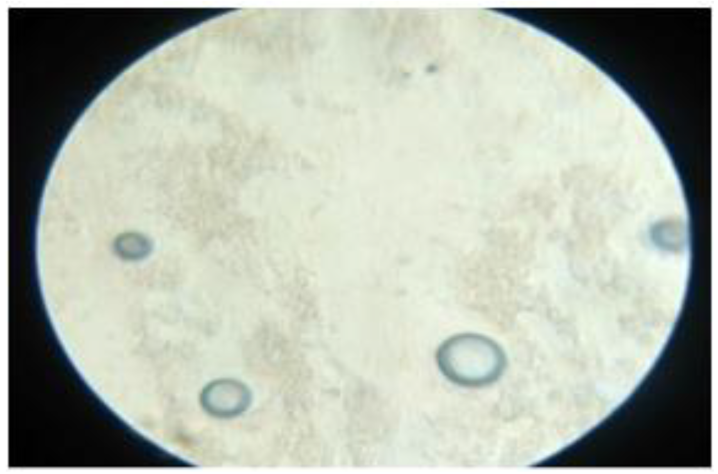 Nanomaterials 12 02954 g005
