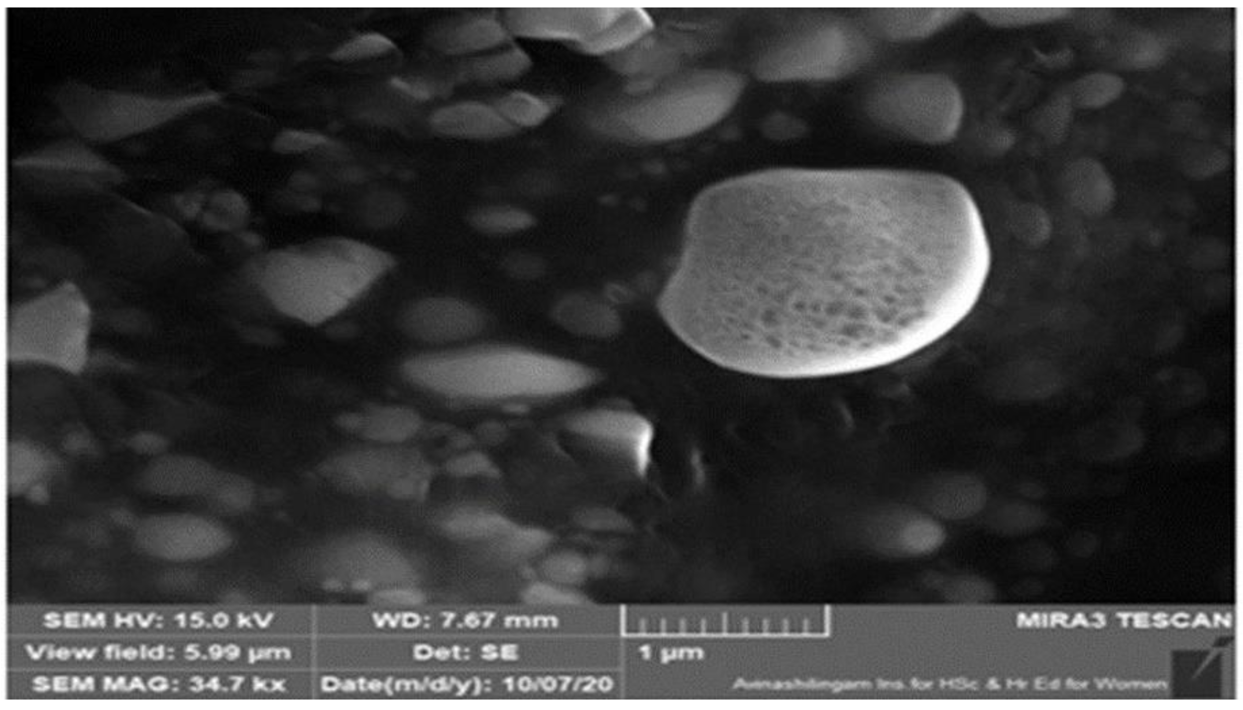 Nanomaterials 12 02954 g006