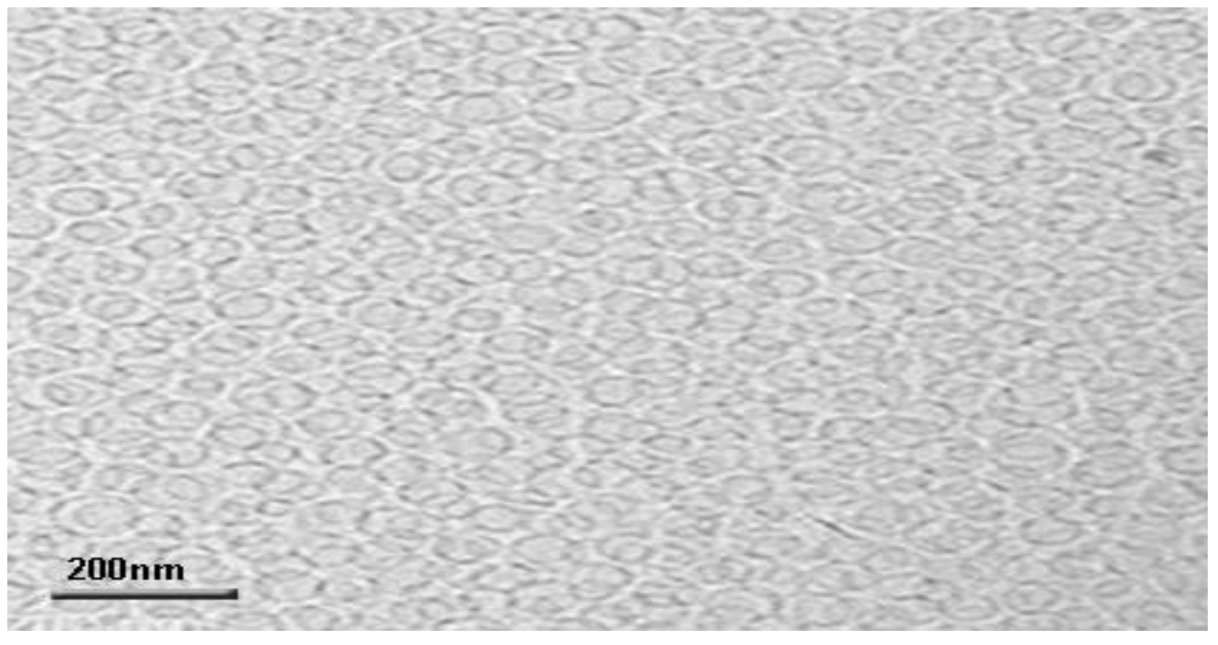 Nanomaterials 12 02954 g007