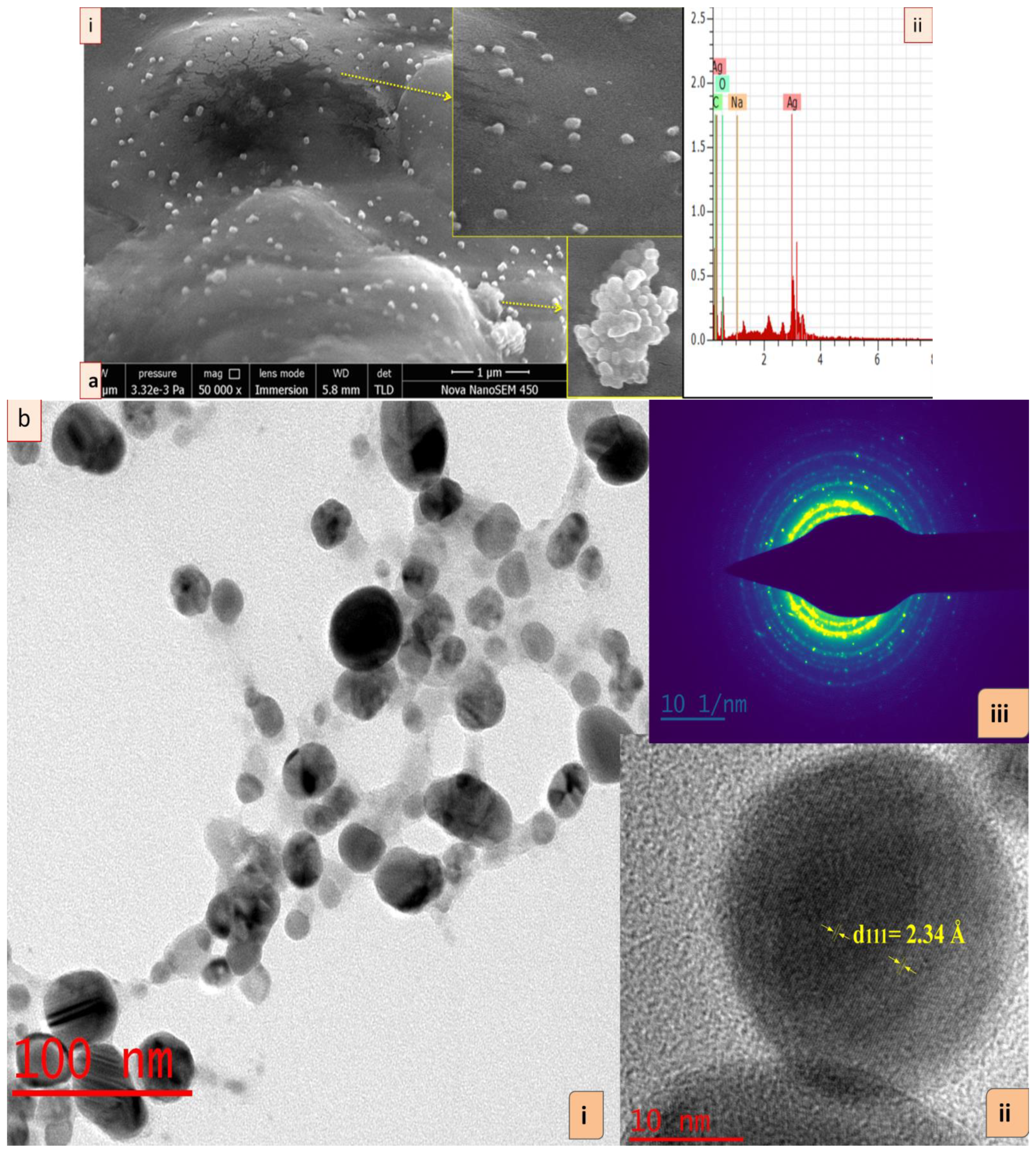 Nanomaterials 12 02966 g002
