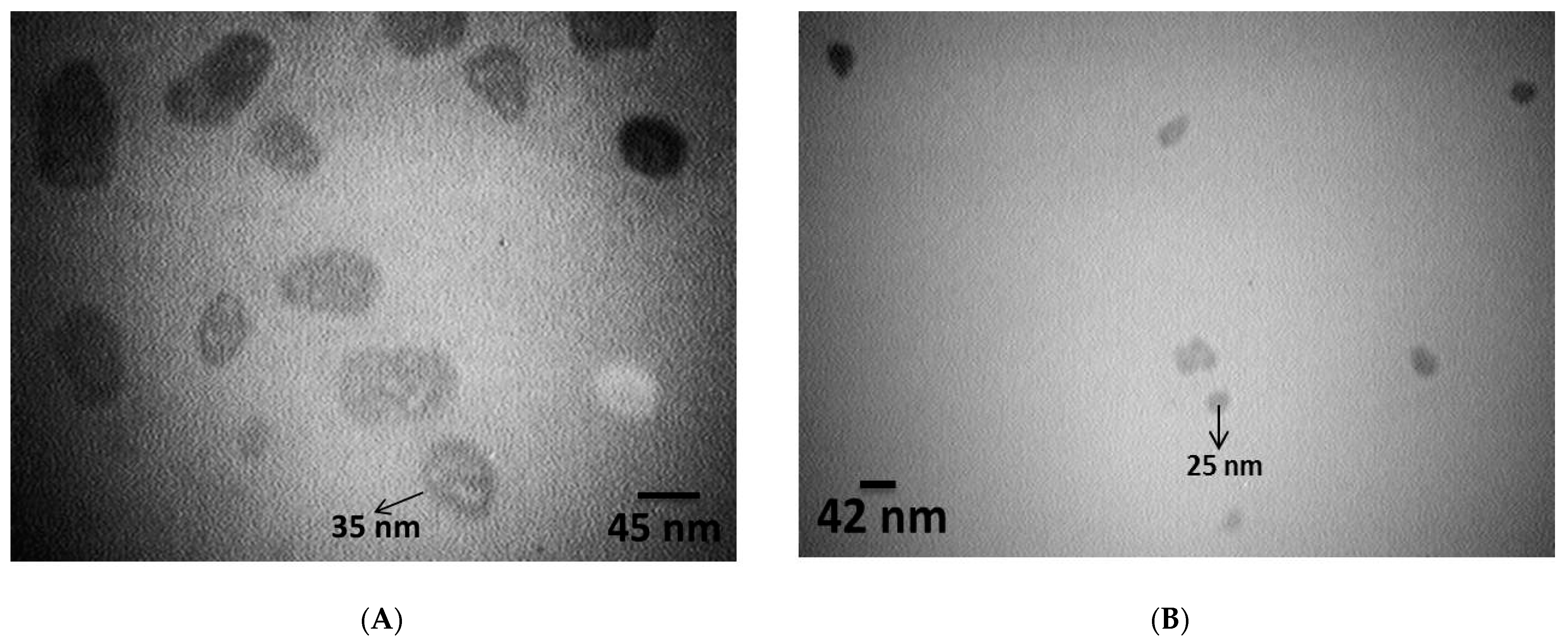 Nanomaterials 12 02971 g001 Nanomaterials 12 02971 g001