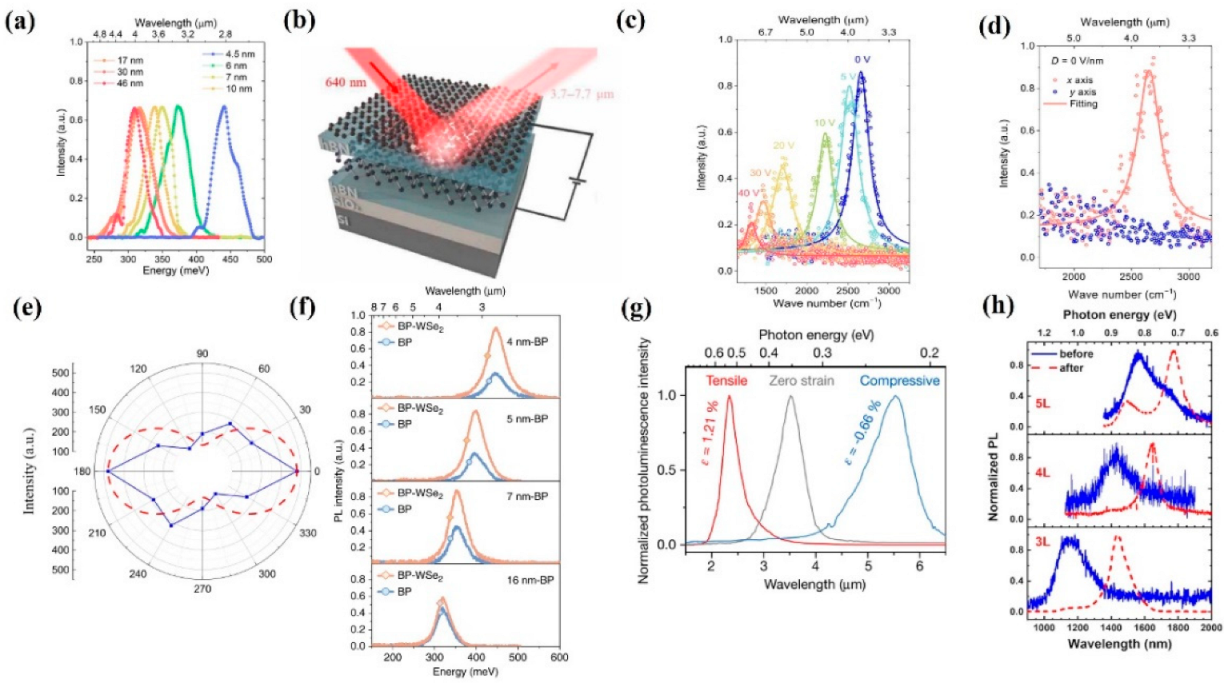 Nanomaterials 12 02996 g002